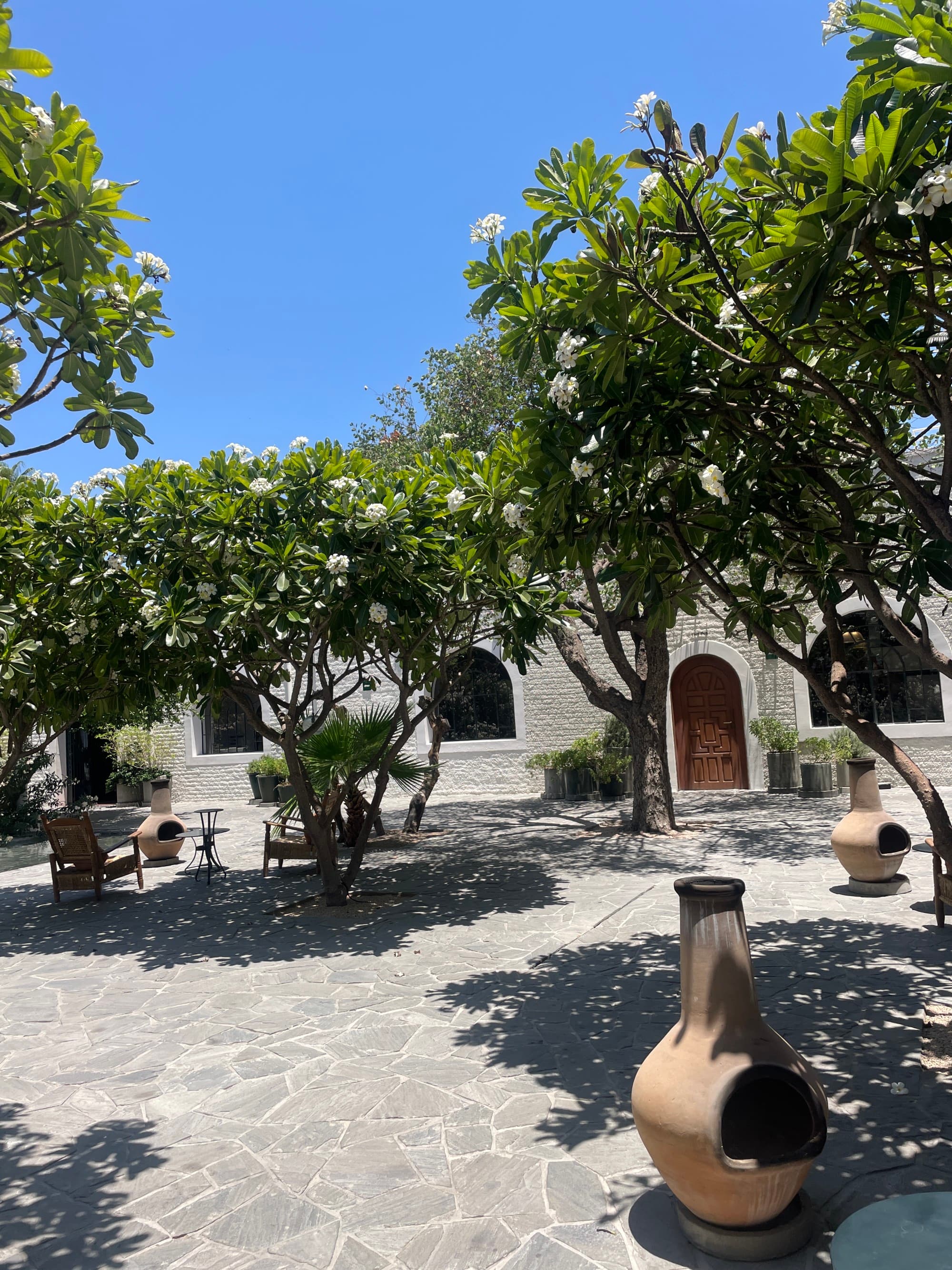 The outside area of the property with pottery and trees.