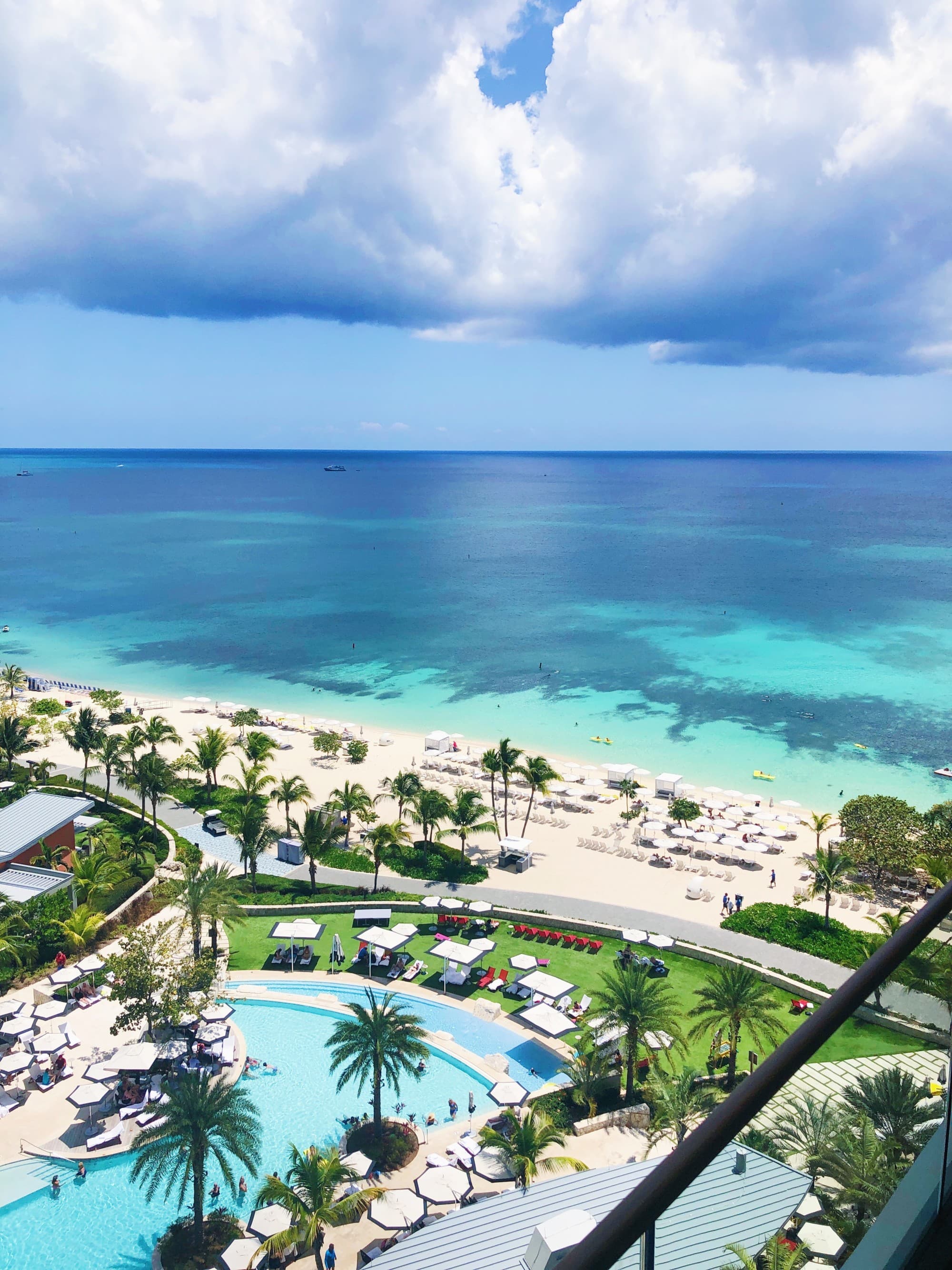 Ocean view from above with palm trees.