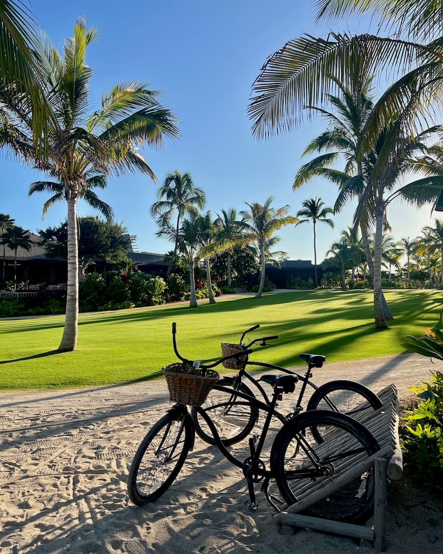 A bicycle in sand next to a green lawn covered by palm trees