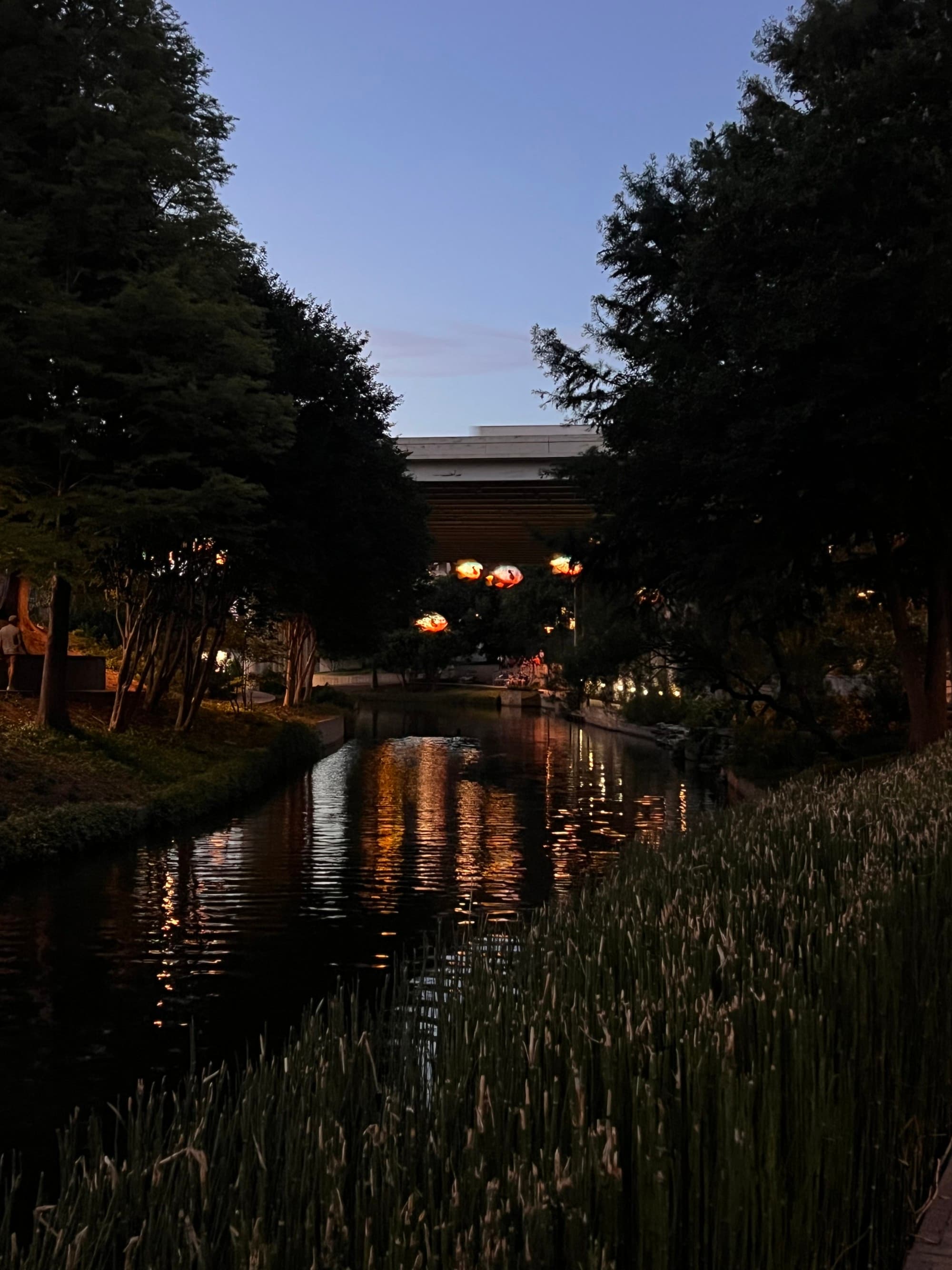 A river lit up at nighttime