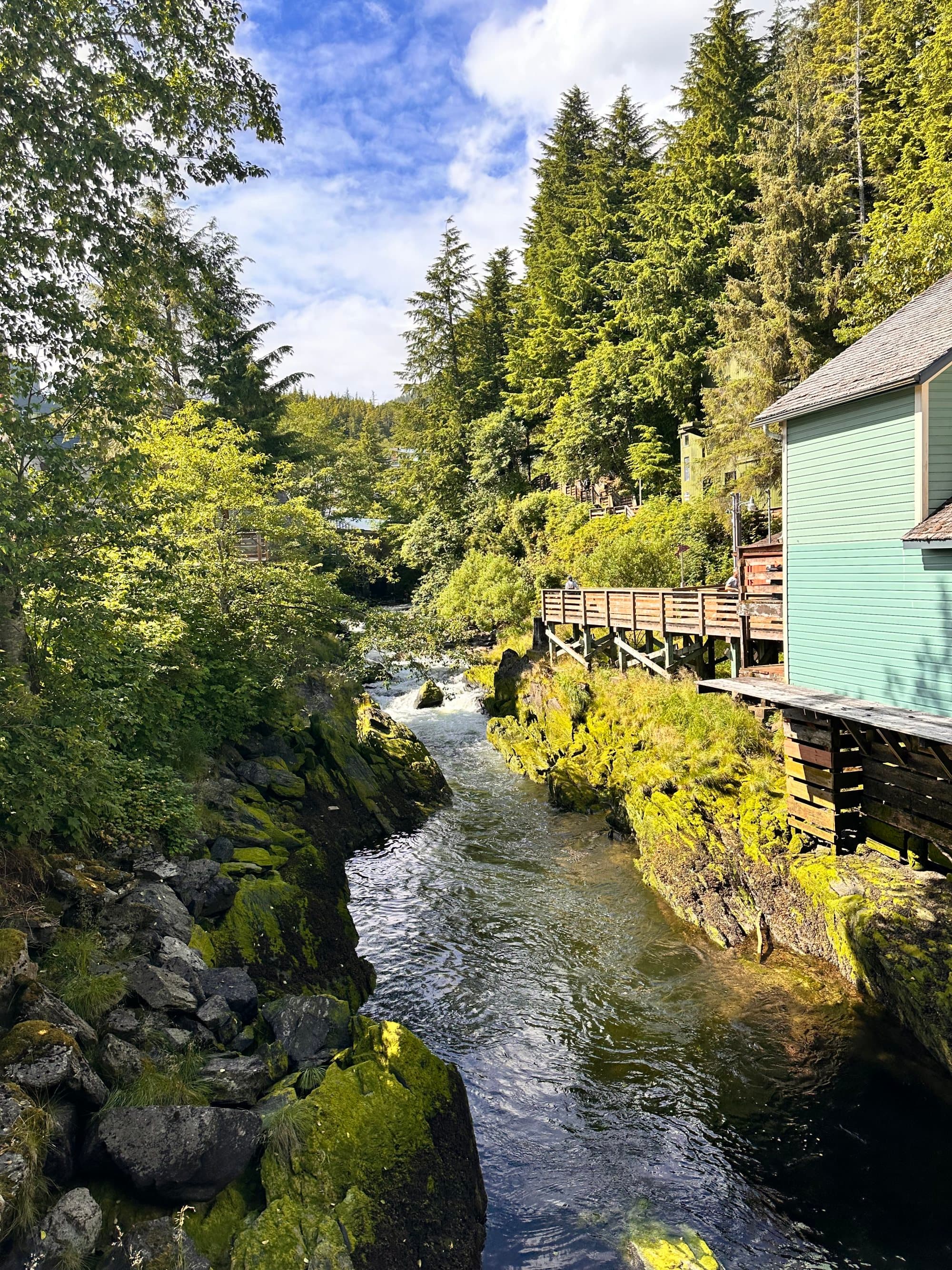A creek with trees around it and a green cabin overlooking the water.