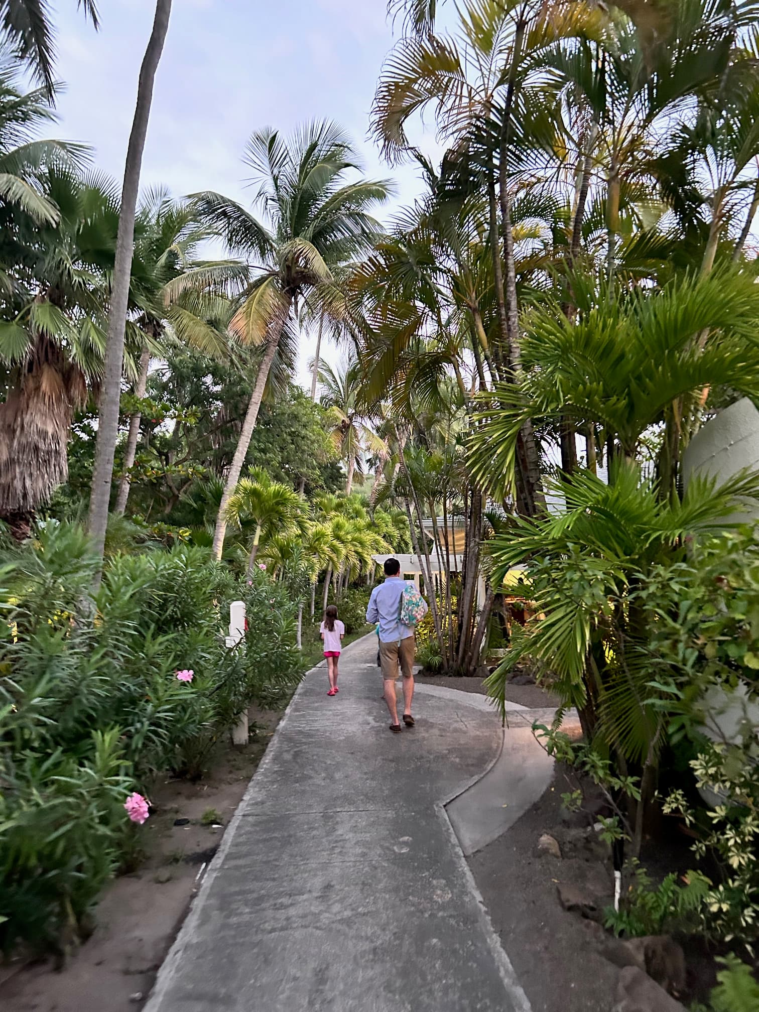 An adult and a child walking down a path surrounded by trees during the daytime