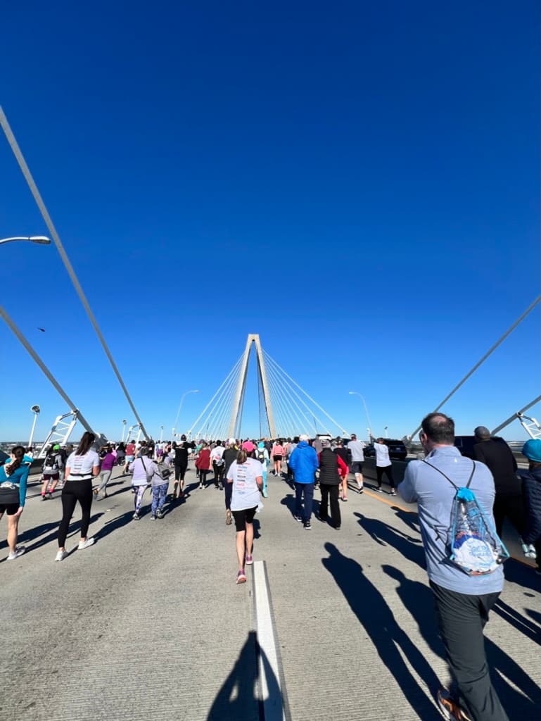 Arthur Ravenel Jr. Bridge