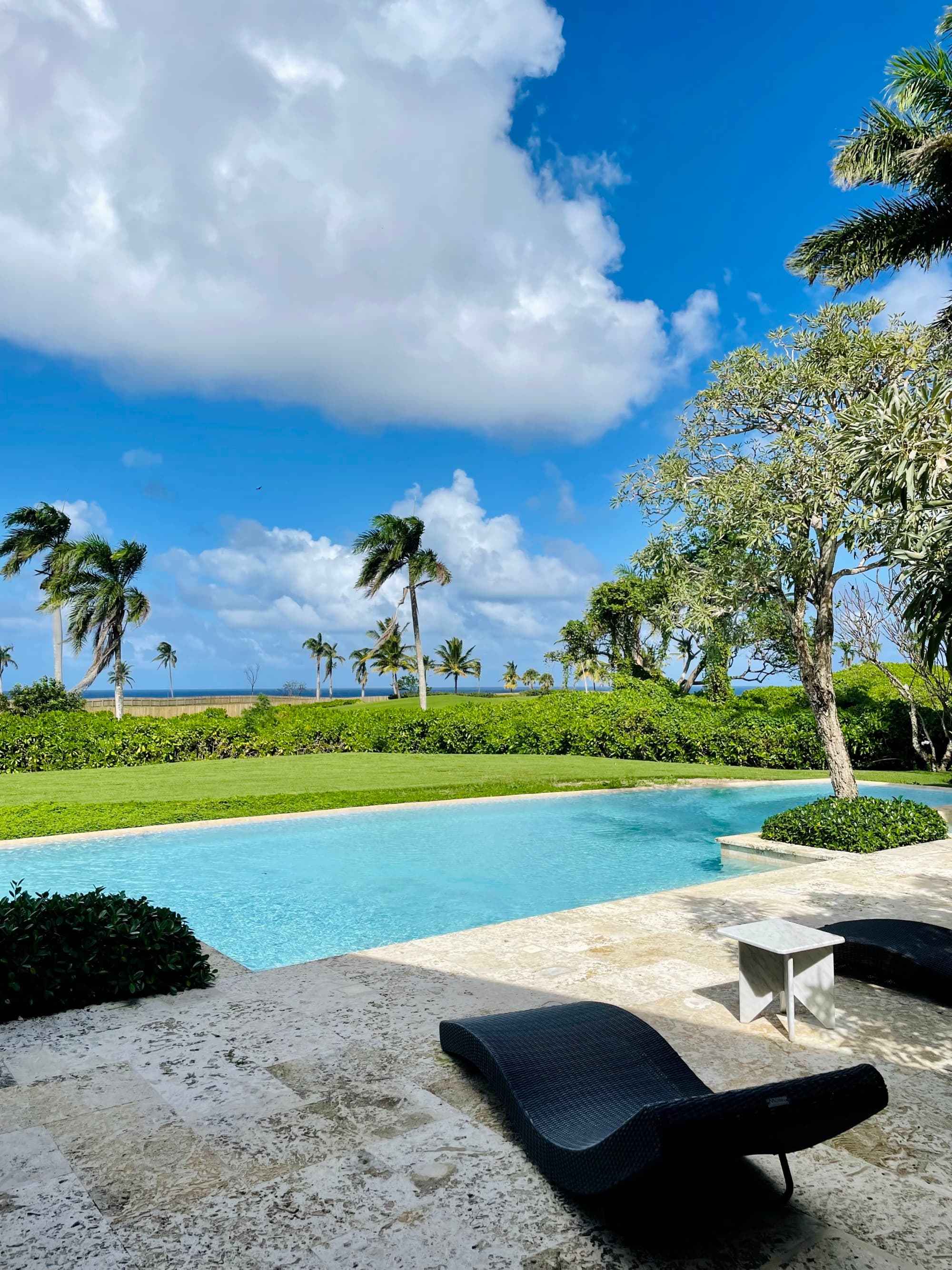 An outdoor pool surrounded by palm trees with lounge chairs beside it.