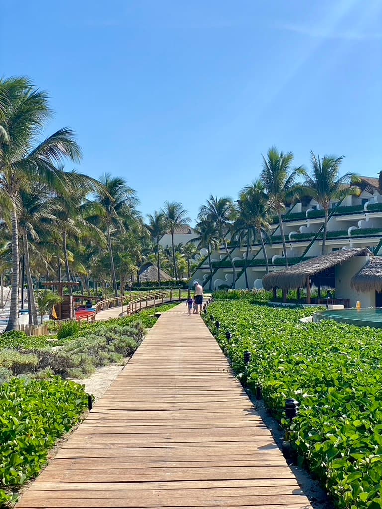 A walkway with hedges on either side during the daytime