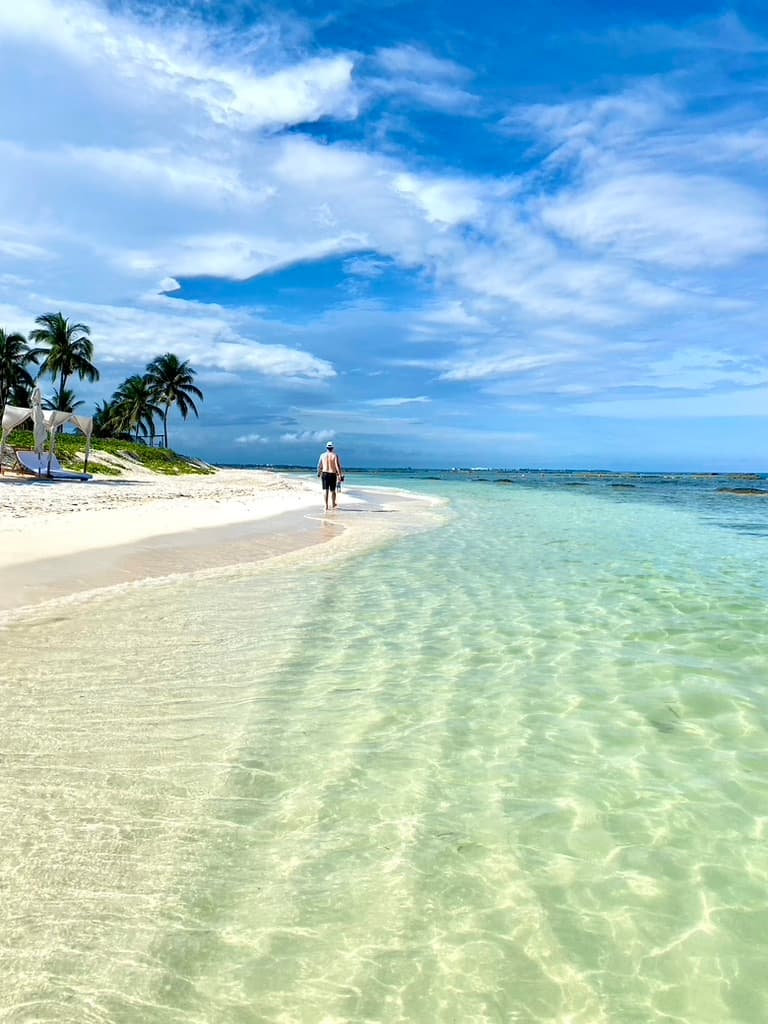 A beach shoreline during the daytime