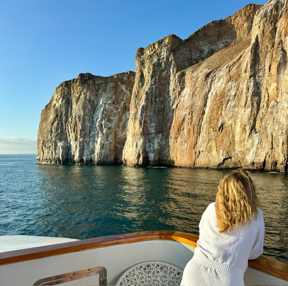 Advisor posing on the ship deck near craggy island cliffs to admire birds on a sunny day.