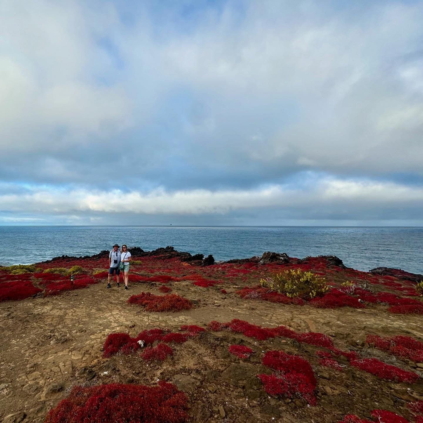 Exploring the beachside cliffs as clouds pass overhead to the ocean horizon on a misty day.