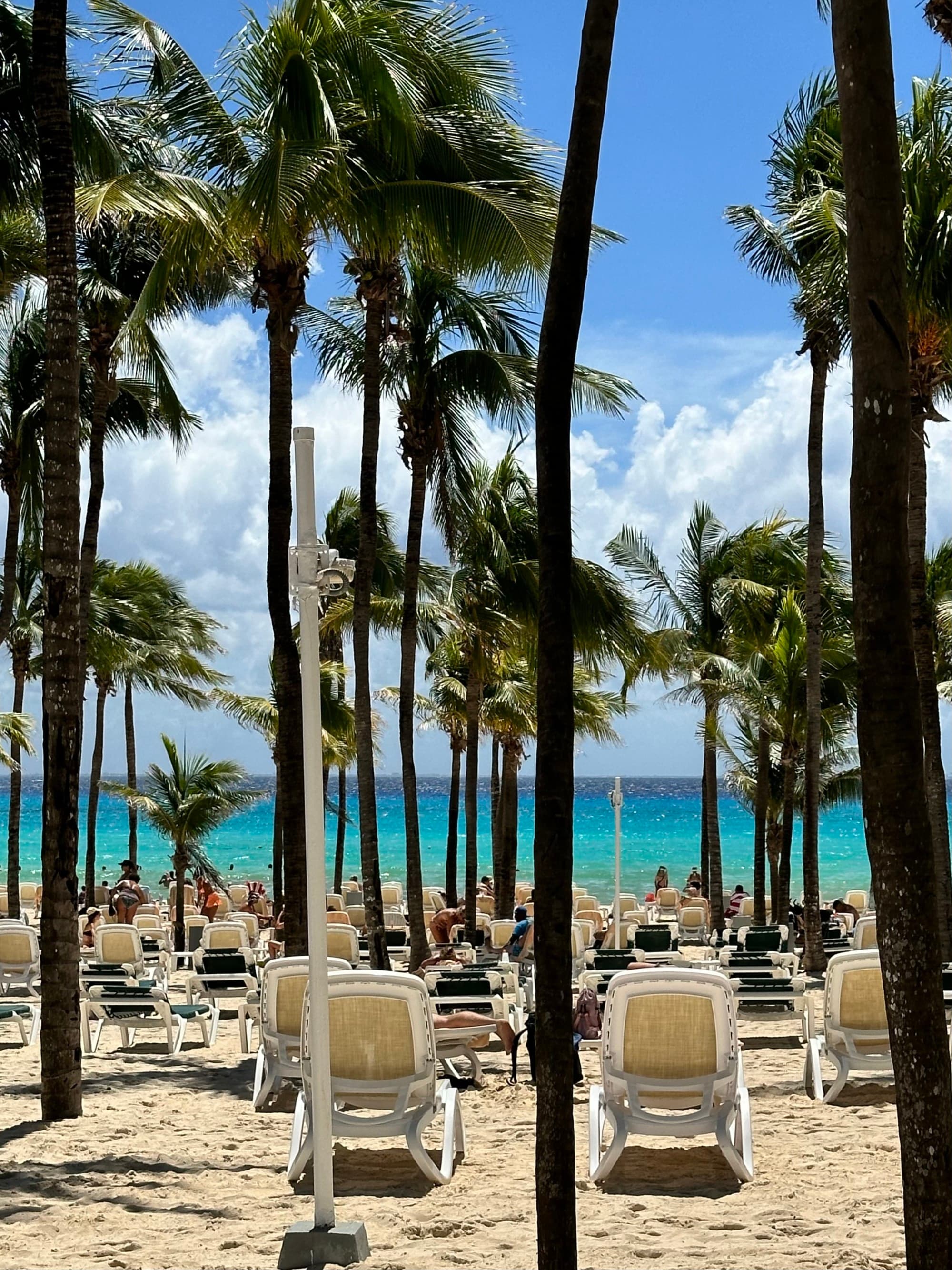 Beach chairs on the beach in front of the water surrounded by palm trees during the daytime