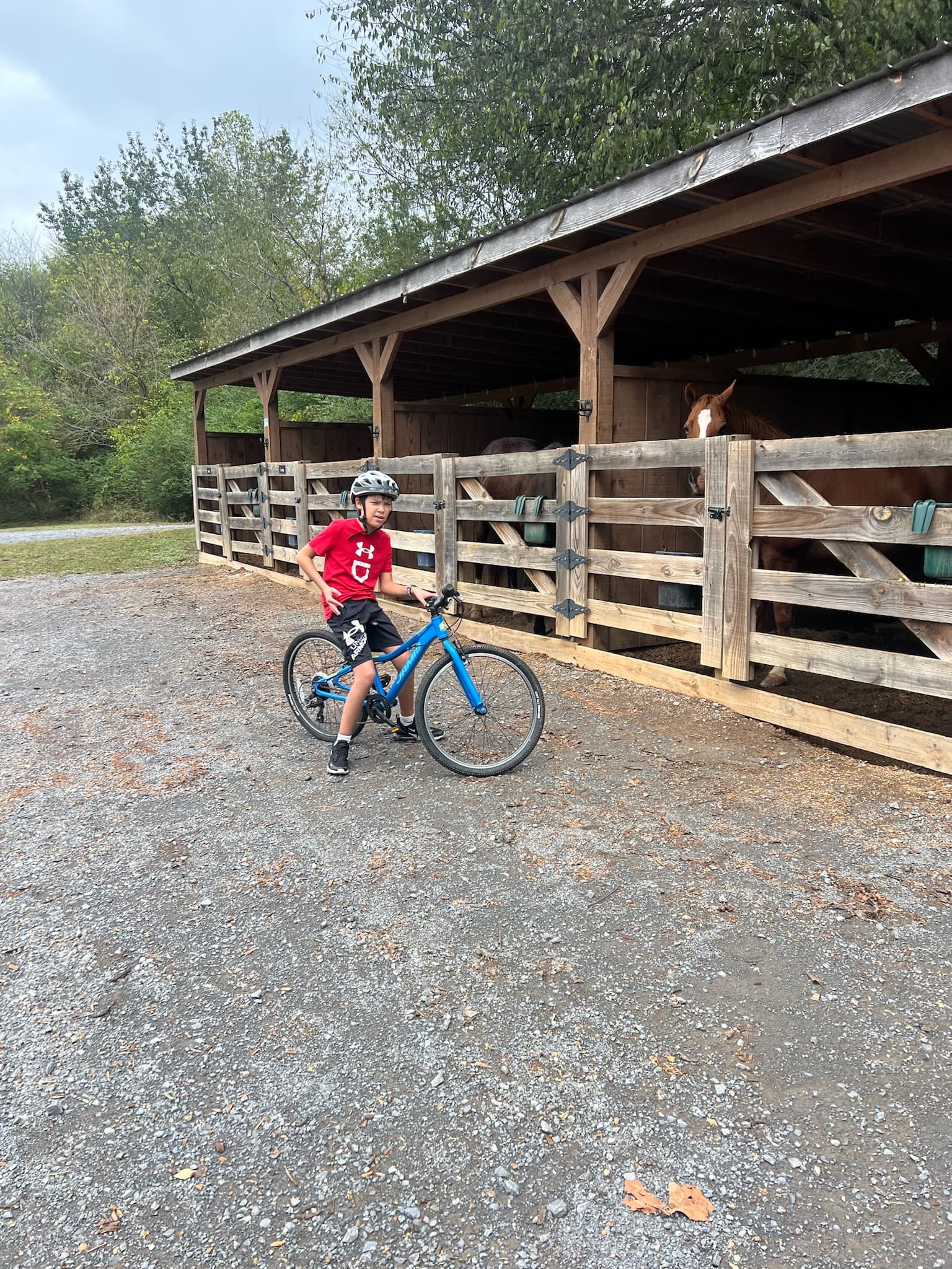 A child sitting on a blue bicycle in front of animal stable doors
