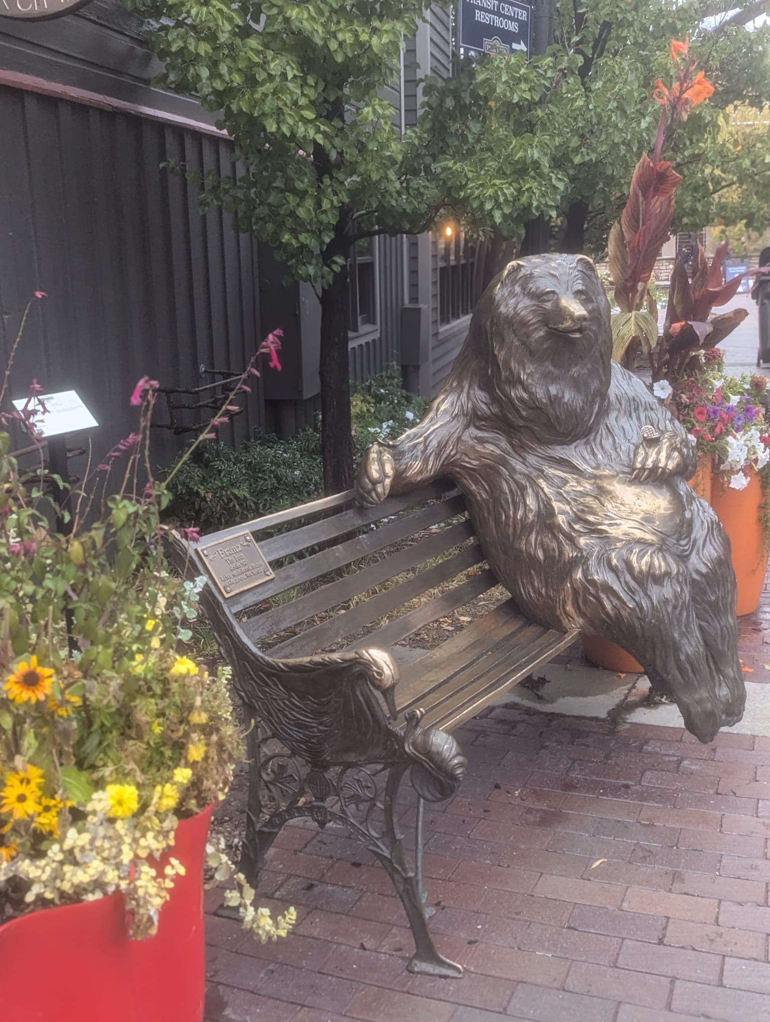 Body Activities - Candice Wilmuth