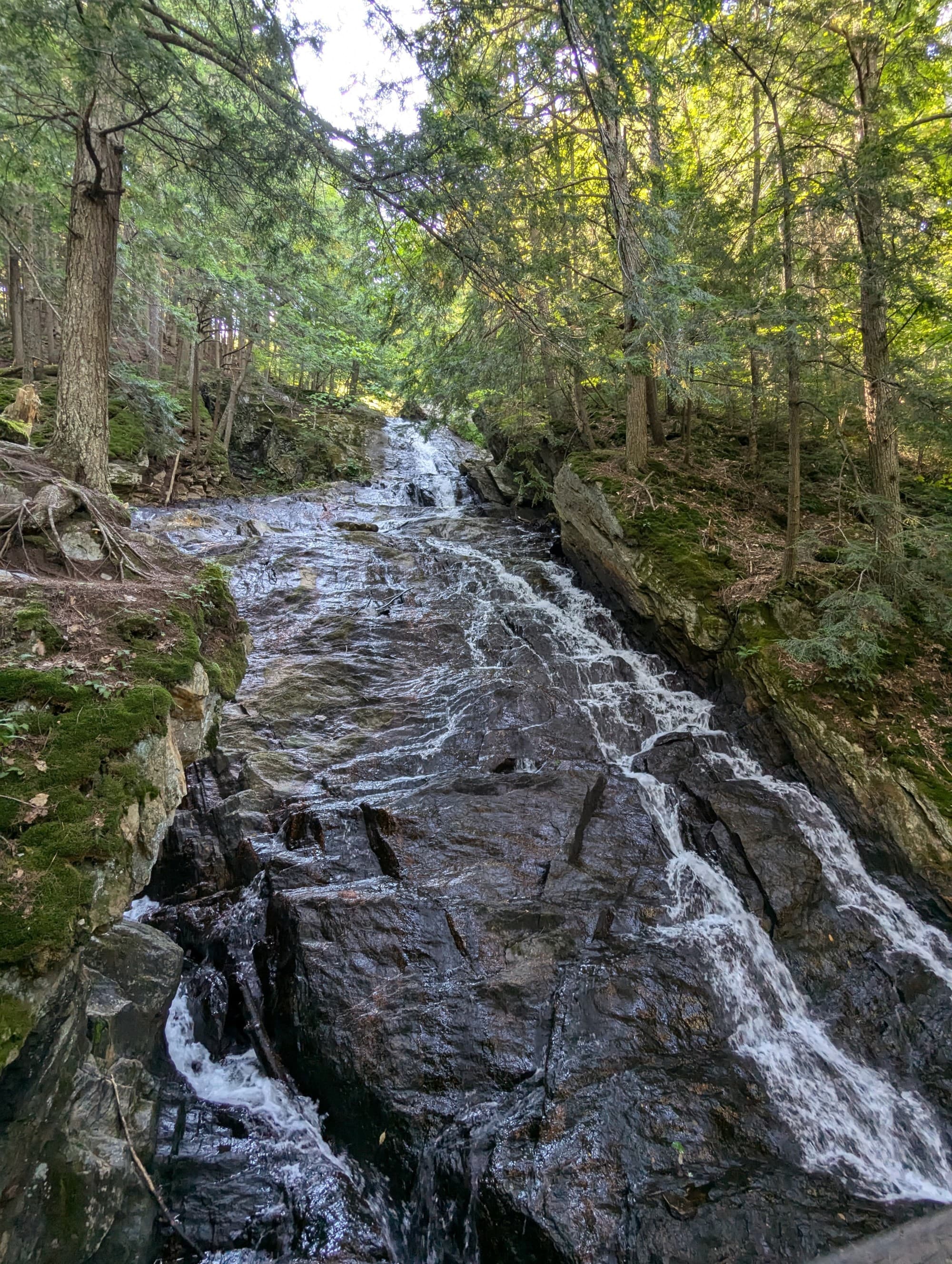 Waterfall among trees.