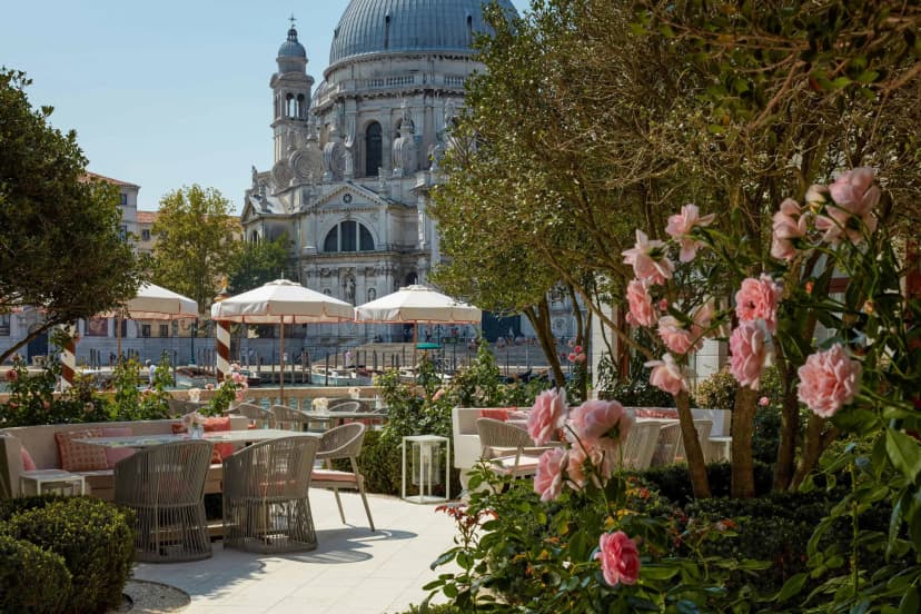a sunny courtyard with pink roses near a gray domed building