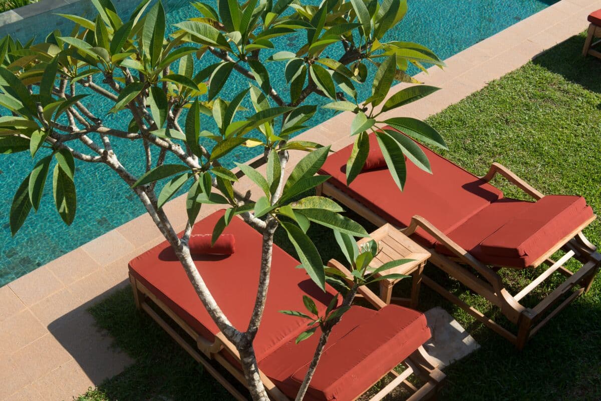red lounge chairs near a pool beneath green leaves