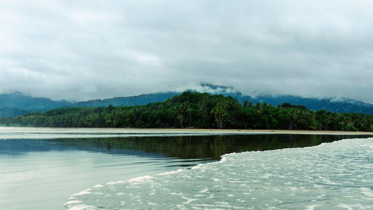 A body of water by a beach and a forest area