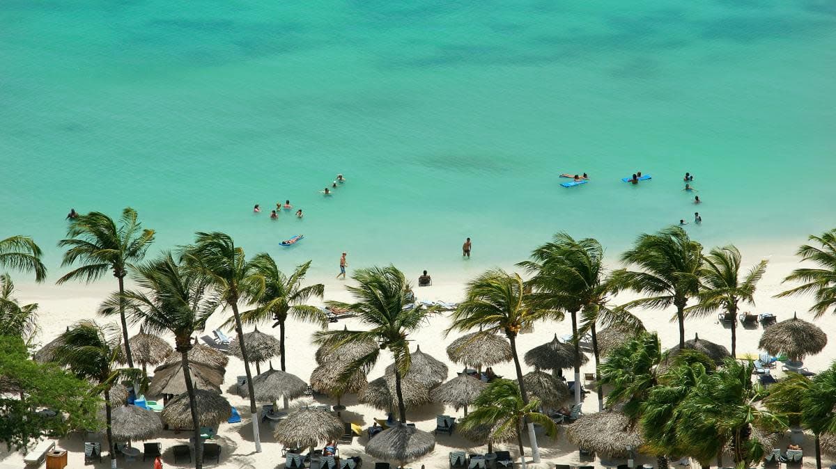 Vacationers playing in clear waters and a serene shore with white sands, palm trees and thatched beach umbrellas for shade at an Aruba beachside resort.