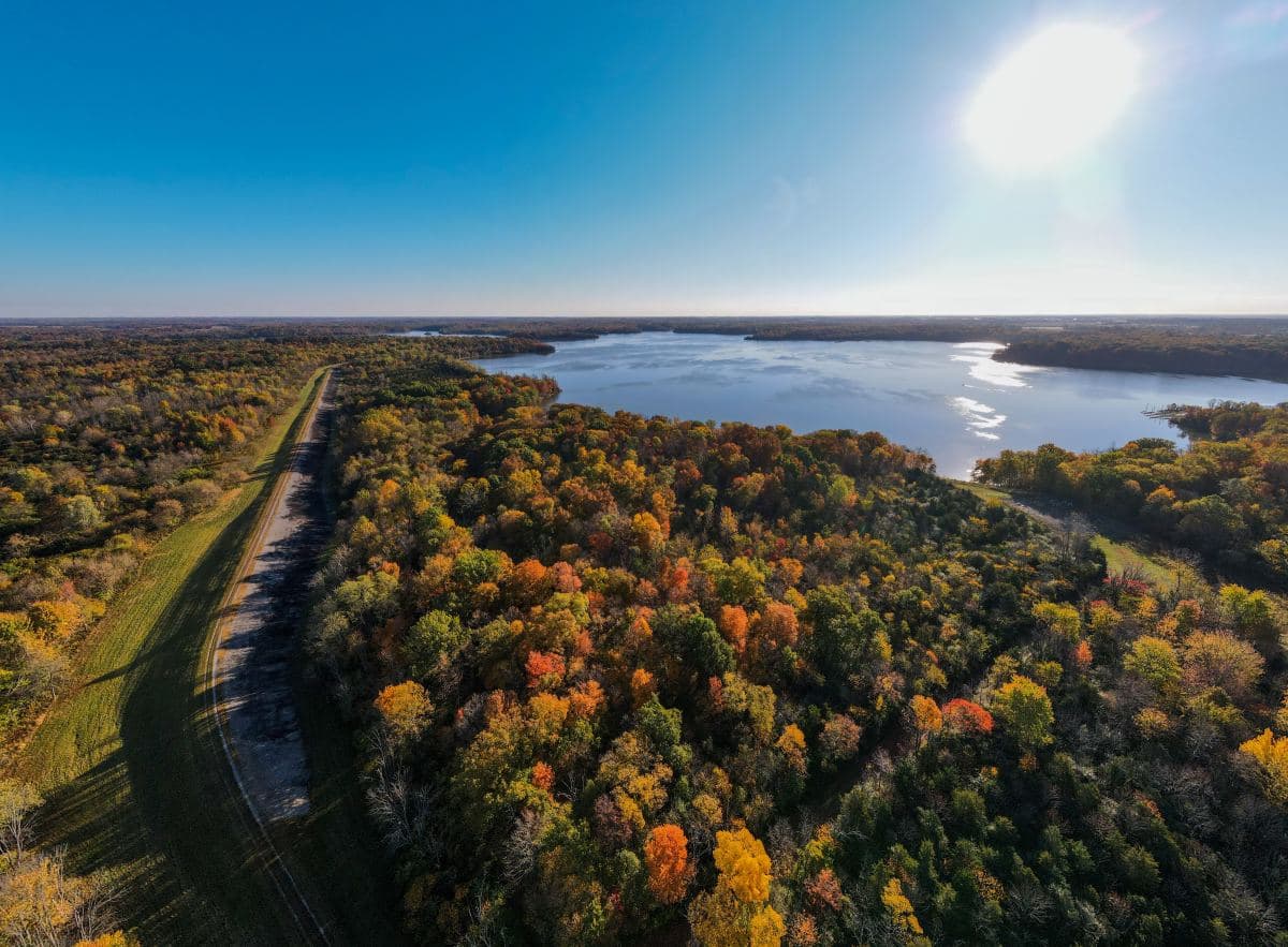 fall leaves on trees in field with lake