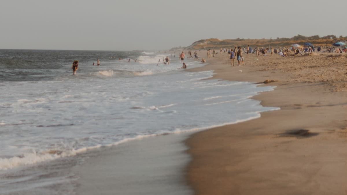 People on the beach during daytime.