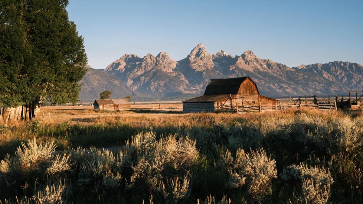 An old barn amid a field in front of Wyoming's Grand Tetons