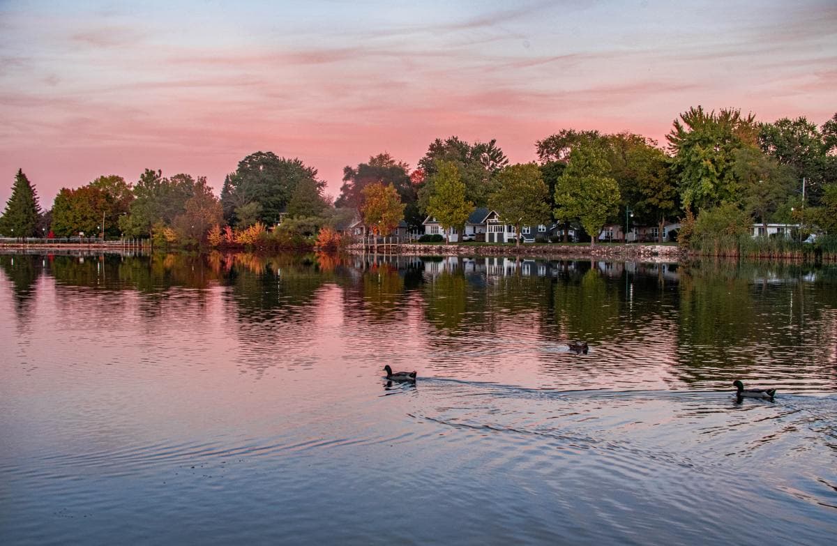 Lake in Michigan with trees during sunset and showing reflection with ducks swimming.