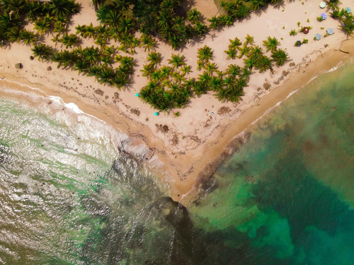 Beach with serene turquoise waters and palm trees in the seaside community of Juan Dolio in the Dominican Republic.