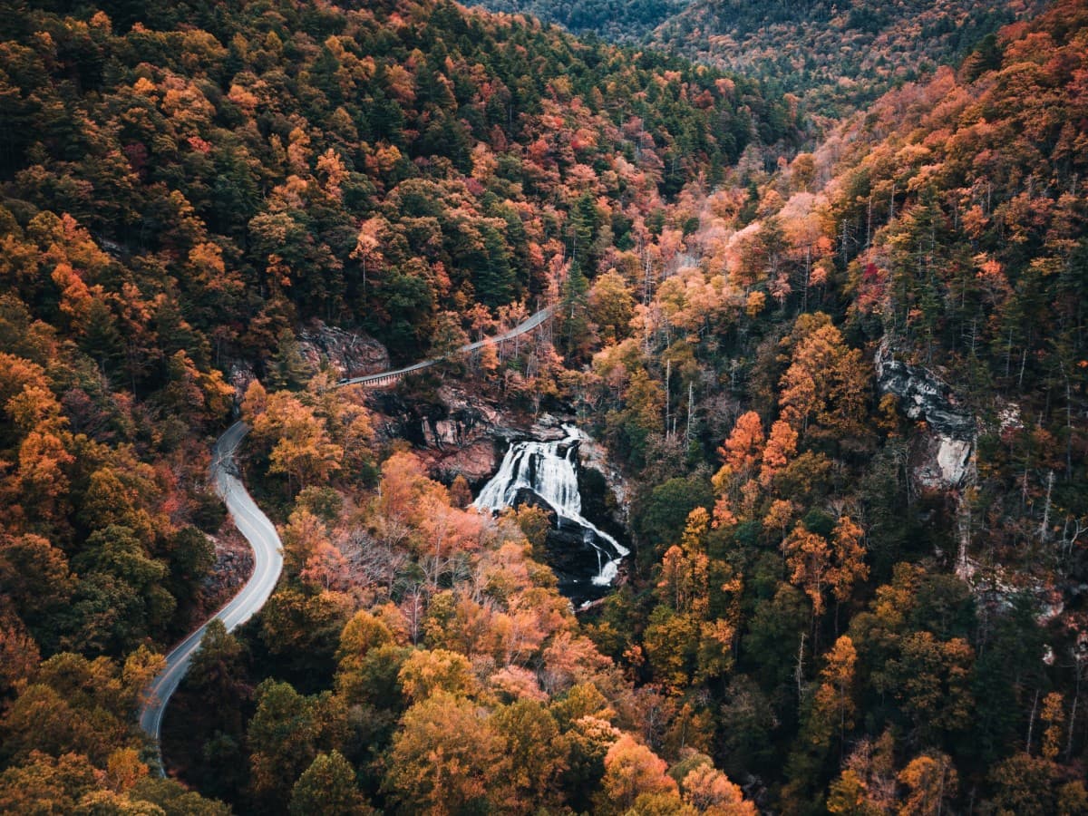 Fall foliage in valley of trees in Highlands