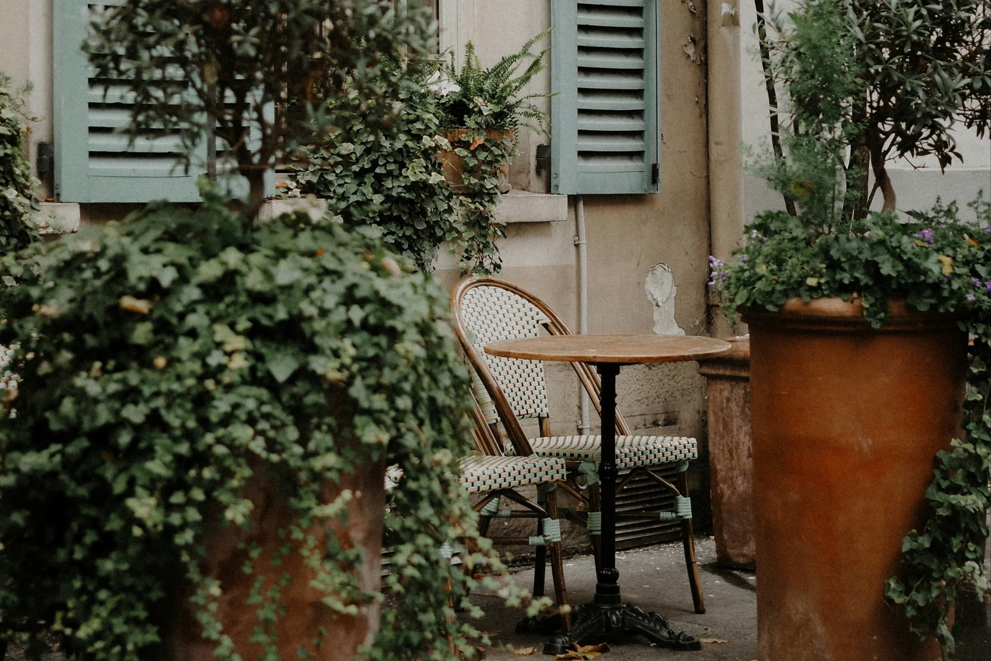 a small outdoor table between large bushes near teal shutters