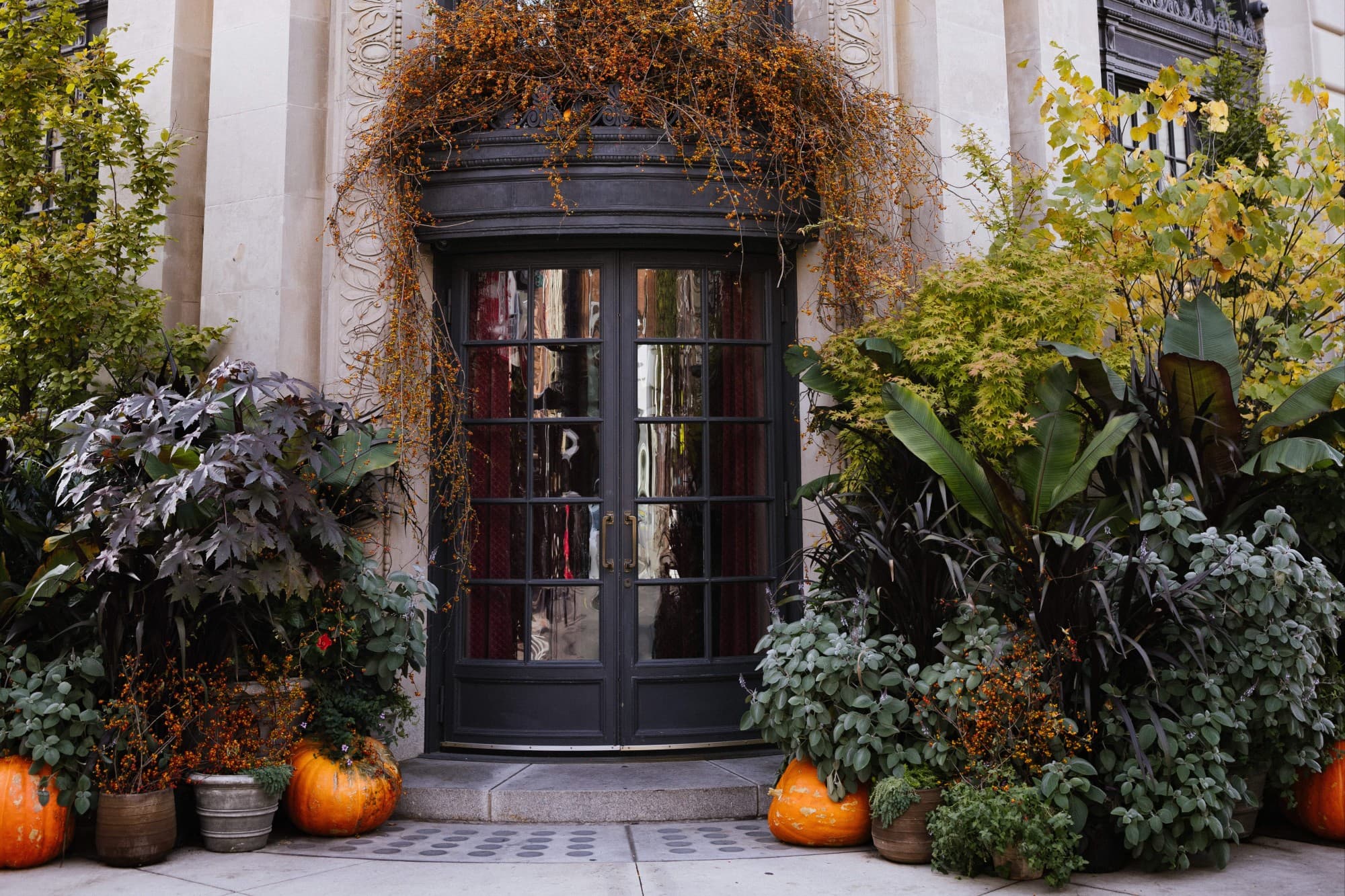 An ornate entry way covered with plants and flanked by pumpkins