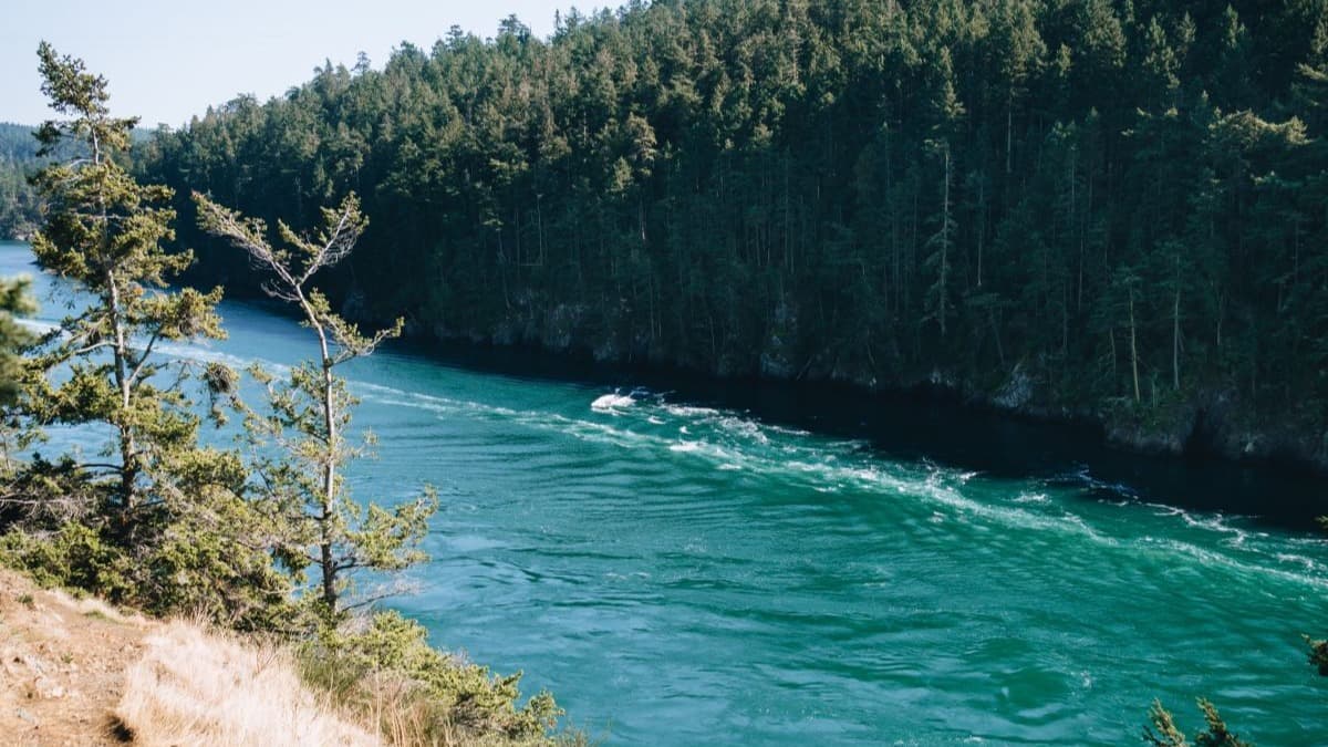 Whidbey Island