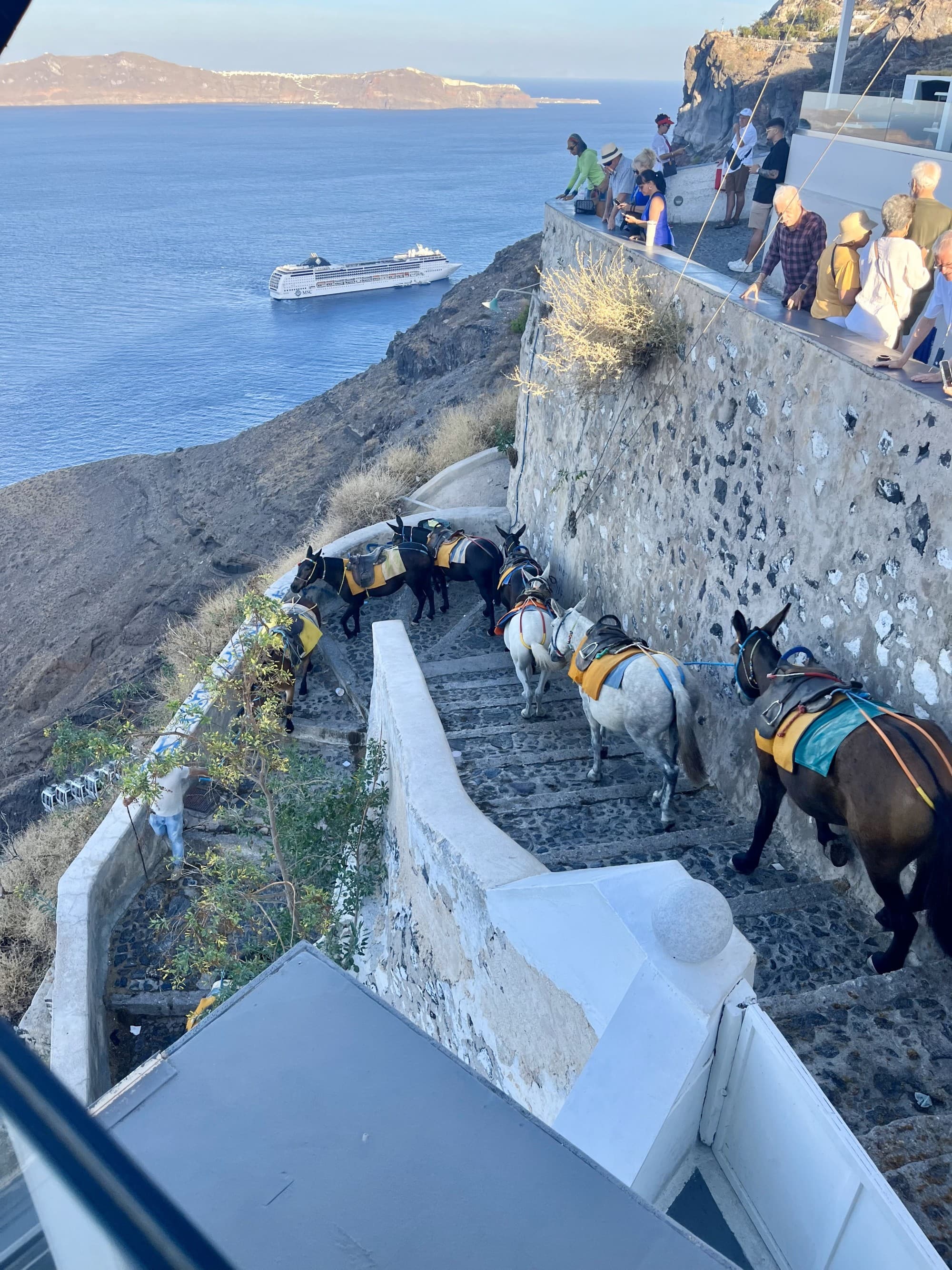 A view of donkeys walking down steps towards the ocean with people watching above.