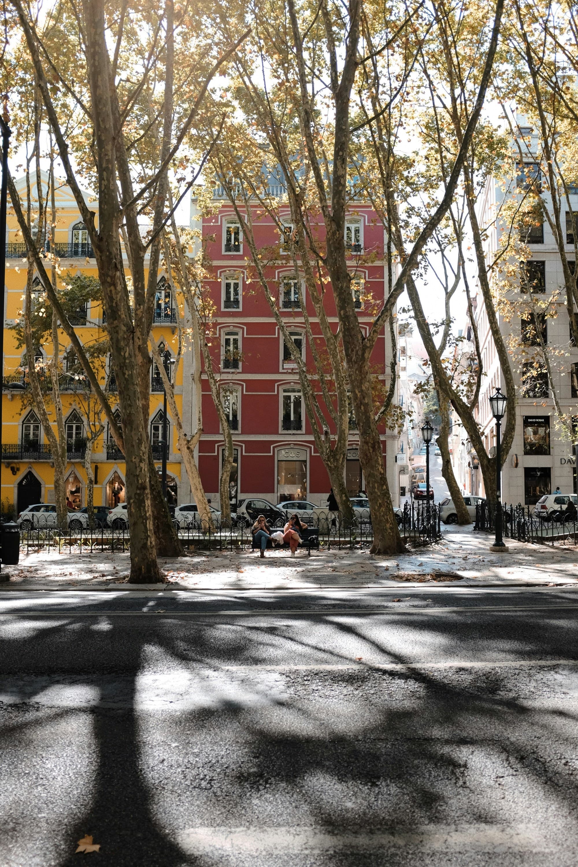 A city street with red and yellow buildings in the background with tall trees in view casting shadows on the ground.