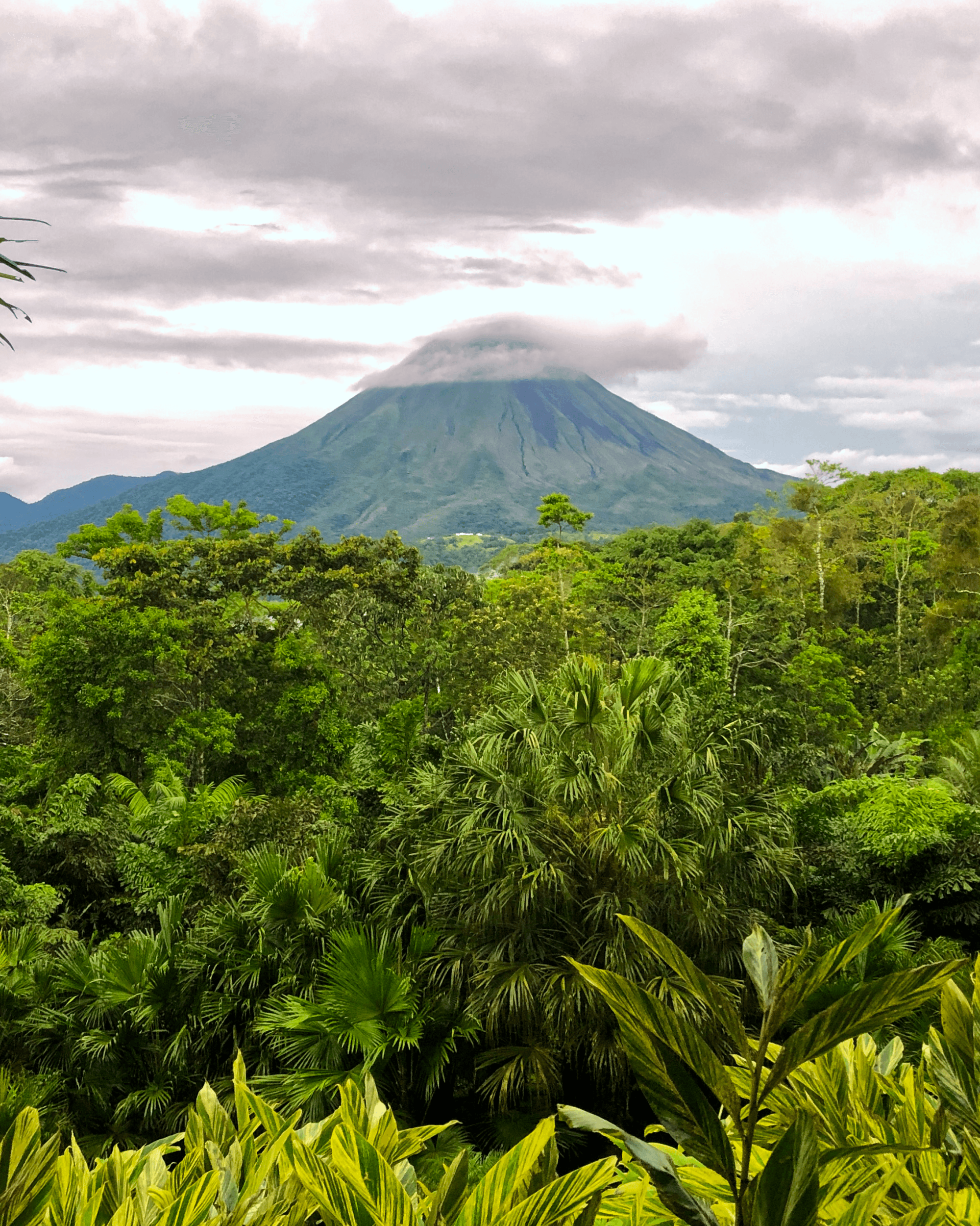 The Springs Shot - Claire Lipton