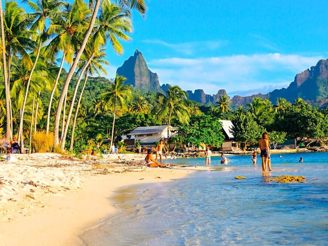 A beach with palm trees and mountains in the background.