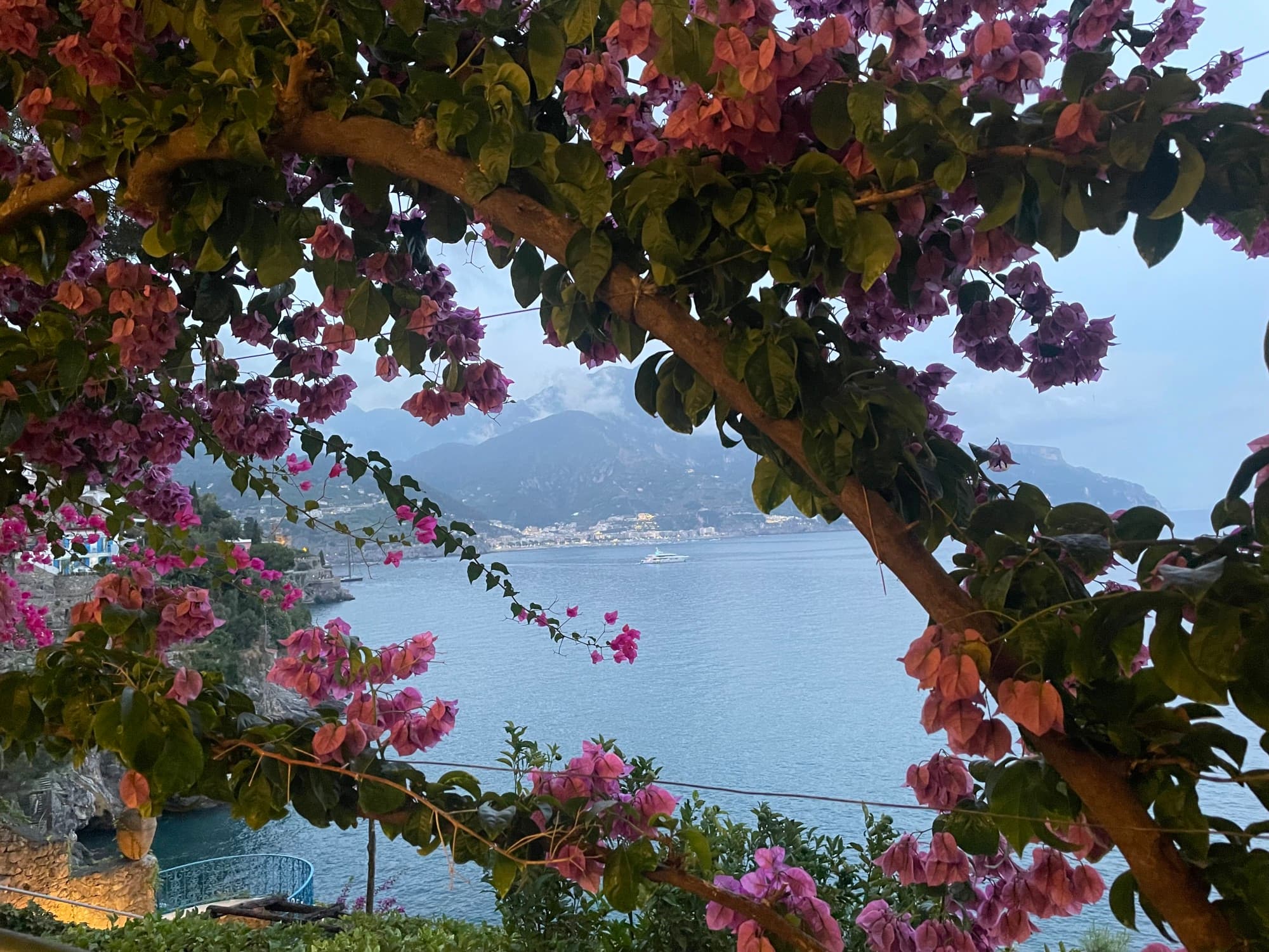 A view of a body of water with pink flowers on a tree in view