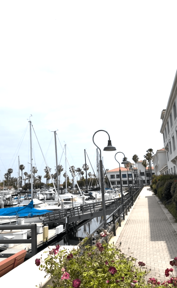 A walkway next to a marina during the daytime