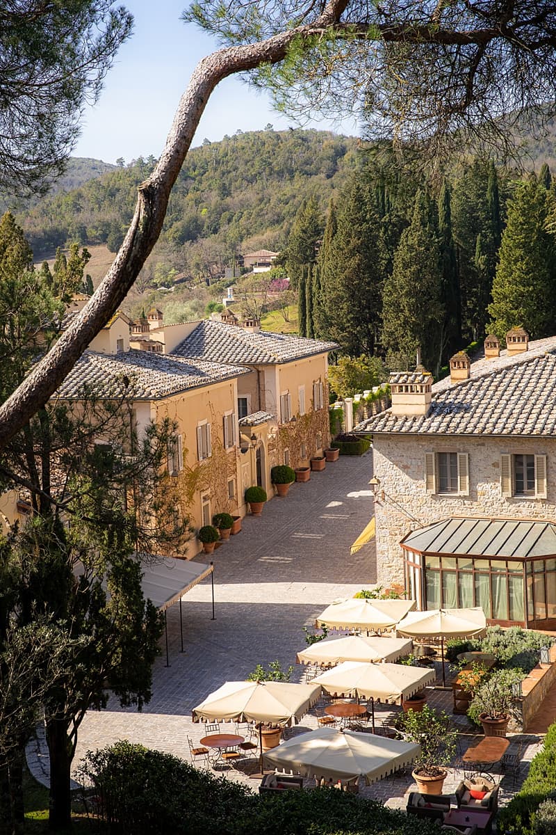 Narrow Italian village street viewed from above through trees.