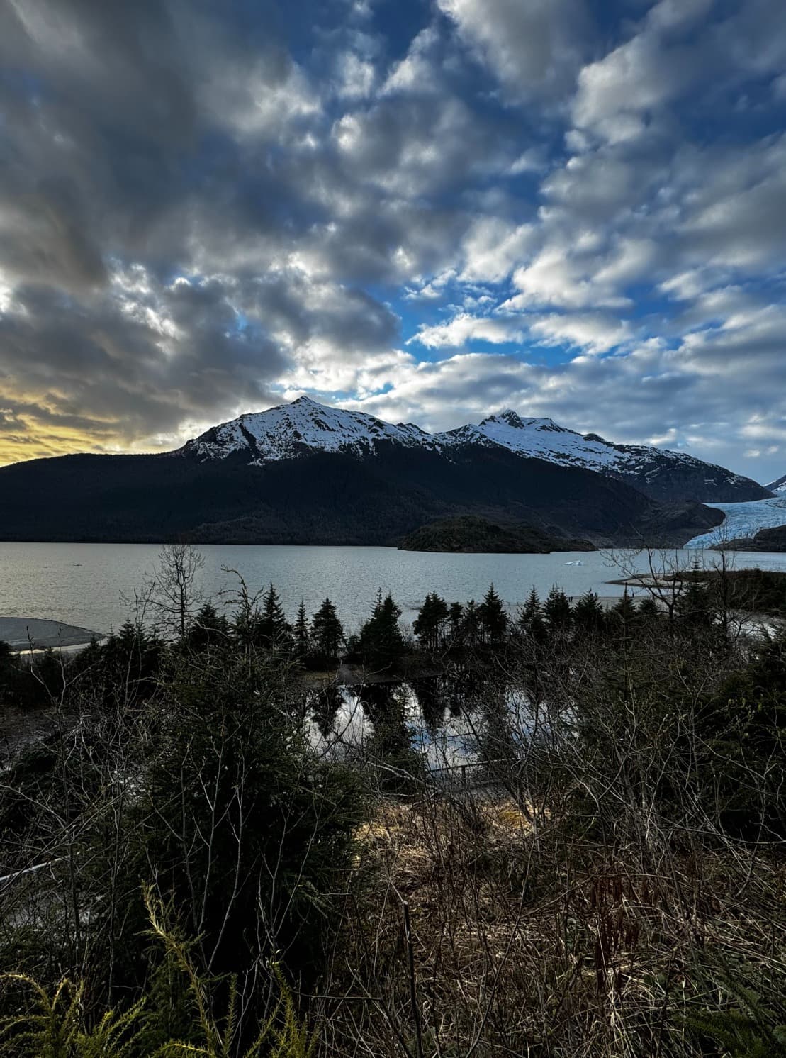 Lake and trees with glacier in the background.