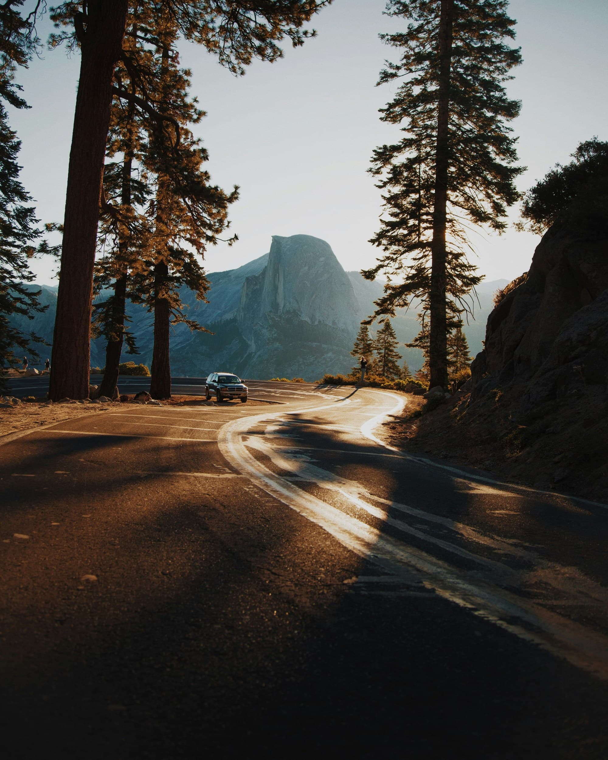 Car winding down a mountain road lined by massive trees on a sunlit day.