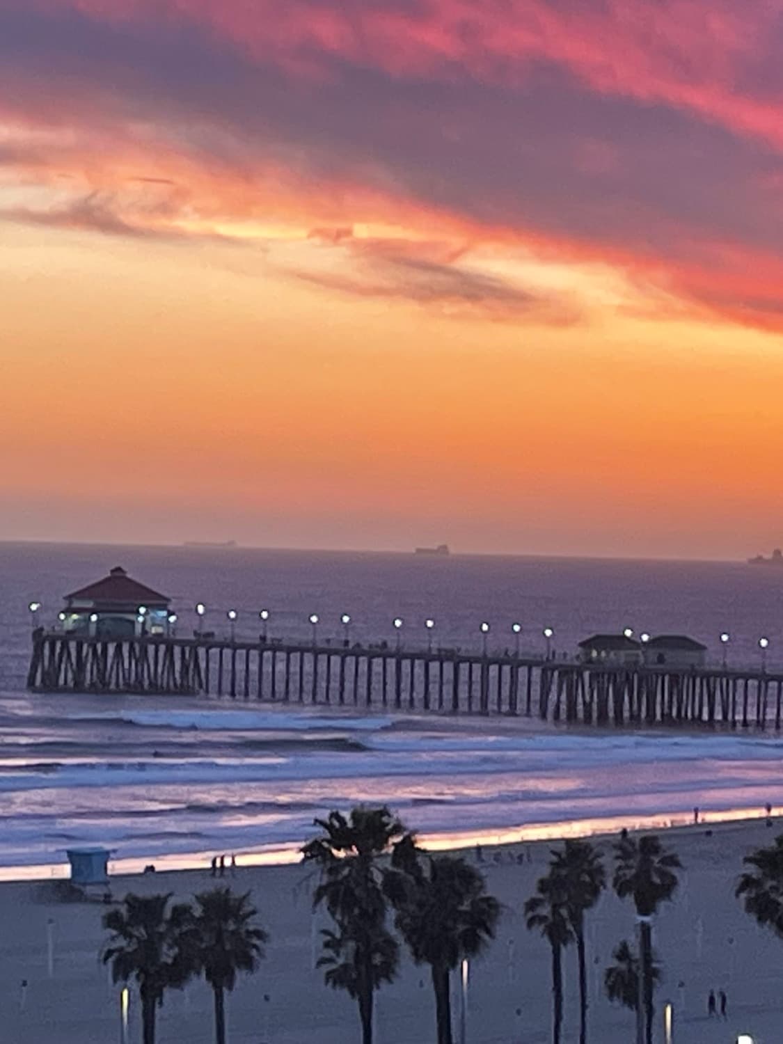 Sunset over the beach with a pier and palm trees in view - Michelle Roe