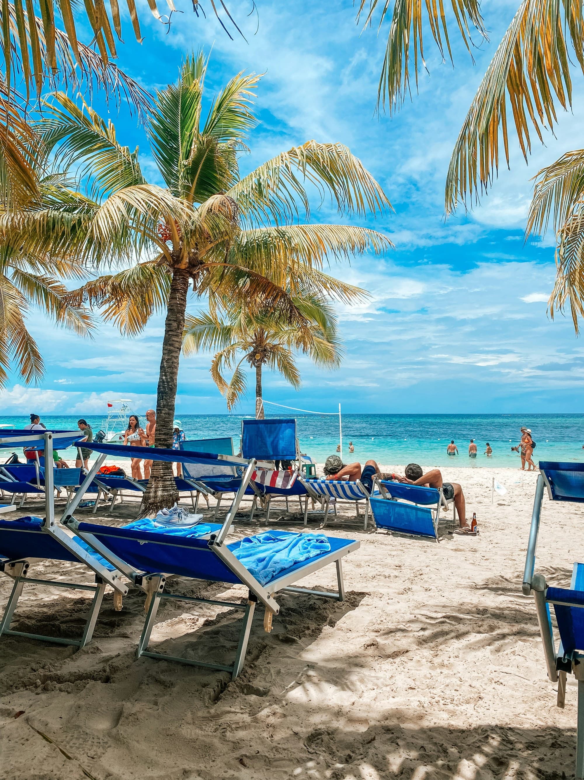 A beach scene with people lounging in chairs on the sand, cooling off in the sea and enjoying the shade of the palm trees on a sunny day.