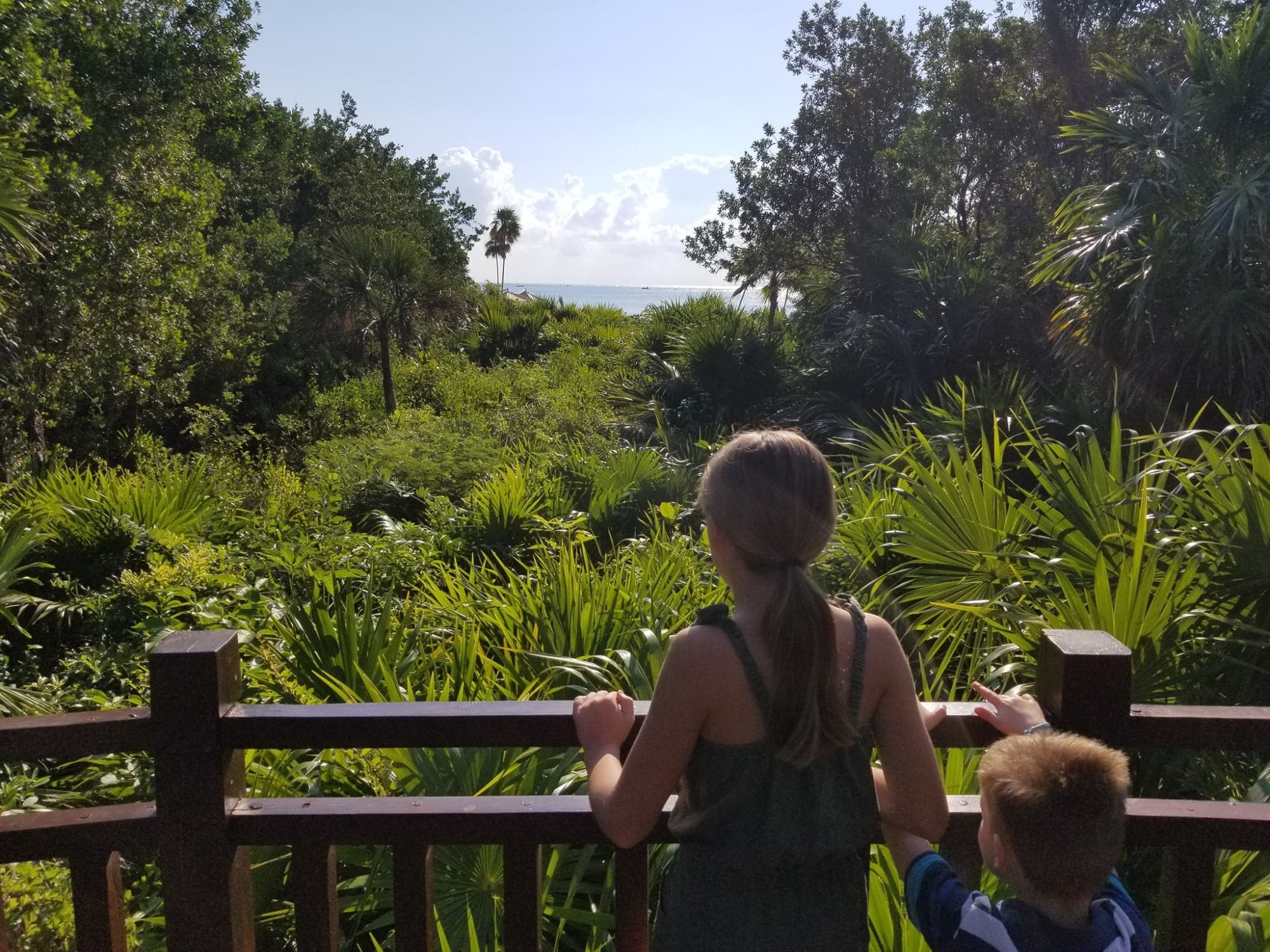 View from the terrace