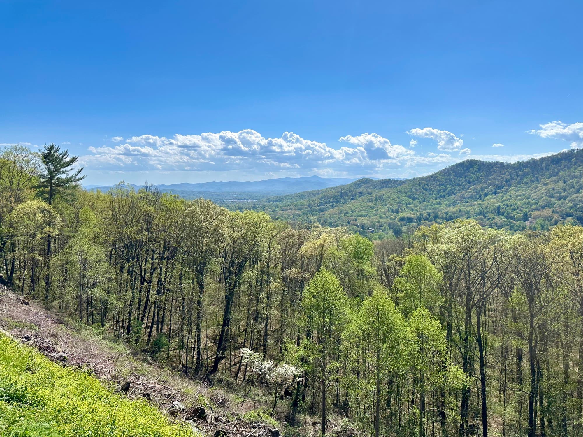 A landscape view of mountains and forests under a blue, North Carolina sky.