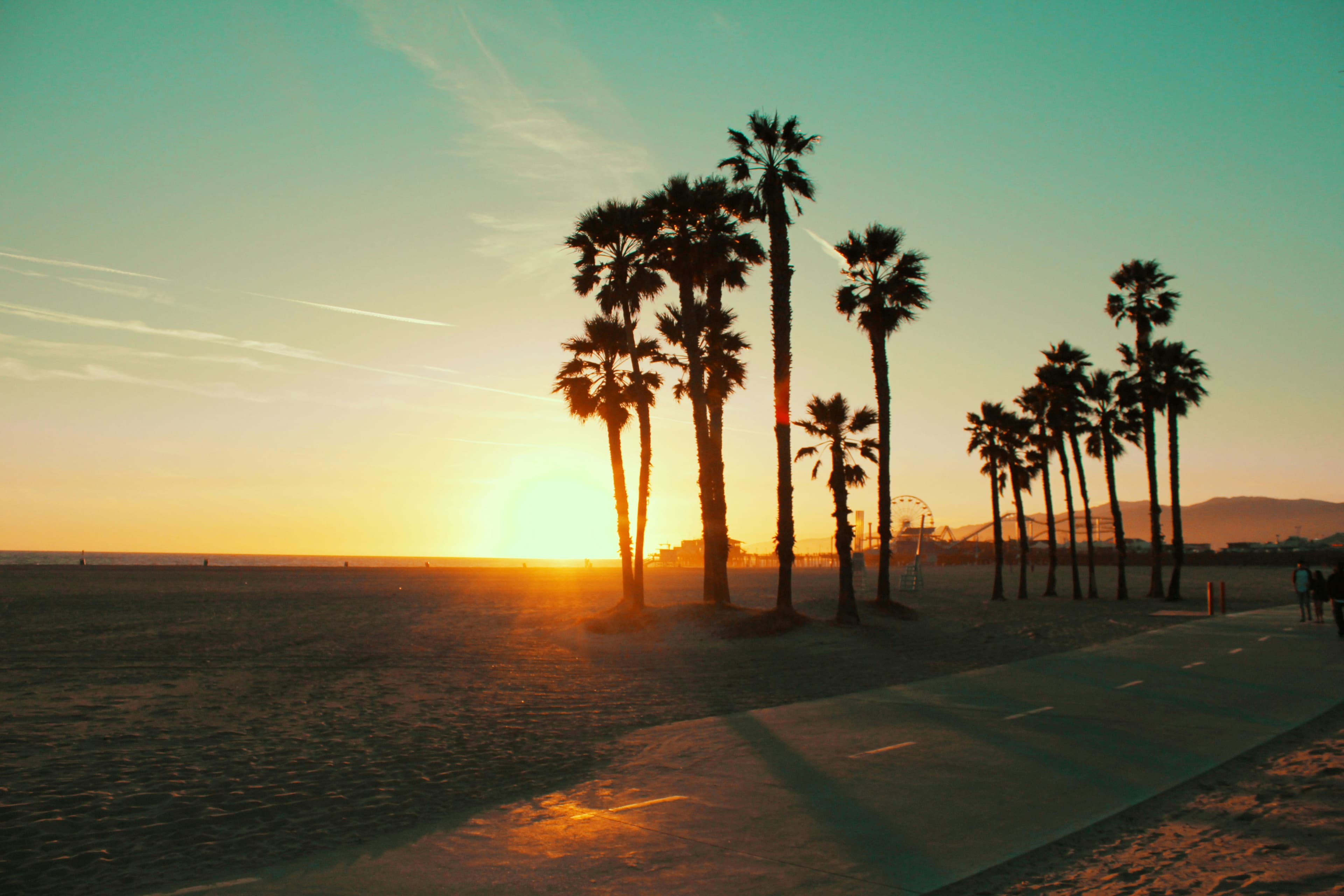 A view of Santa Monica beach at sunset, with silhouetted palm trees, and Santa Monica pier and ferris wheel in the background.