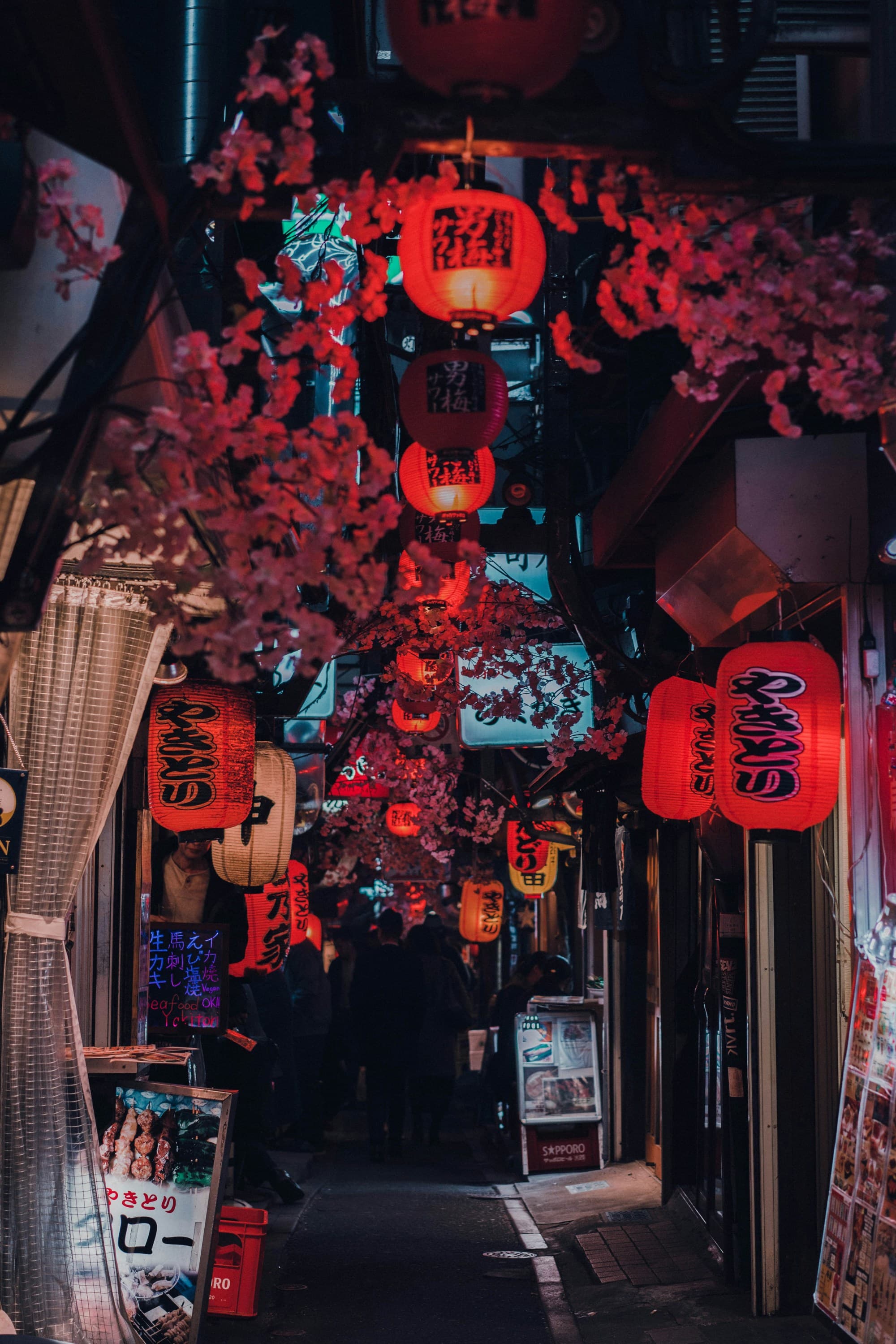 One of the famous streets to visit in Japan, decorated with red hanging lanterns and flowers