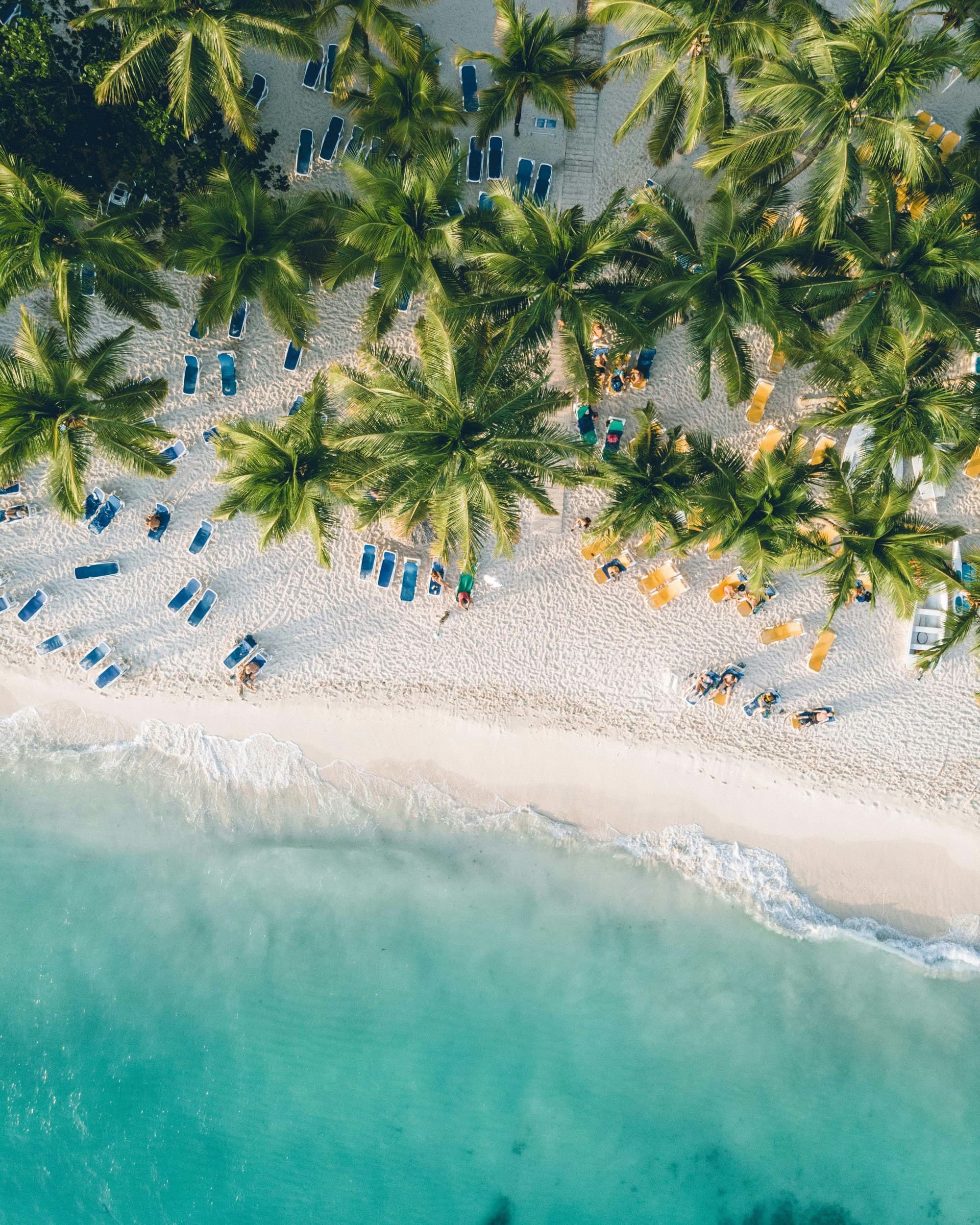 Aerial view of beautiful beach with white sand, turquoise water, trees and blue sun loungers