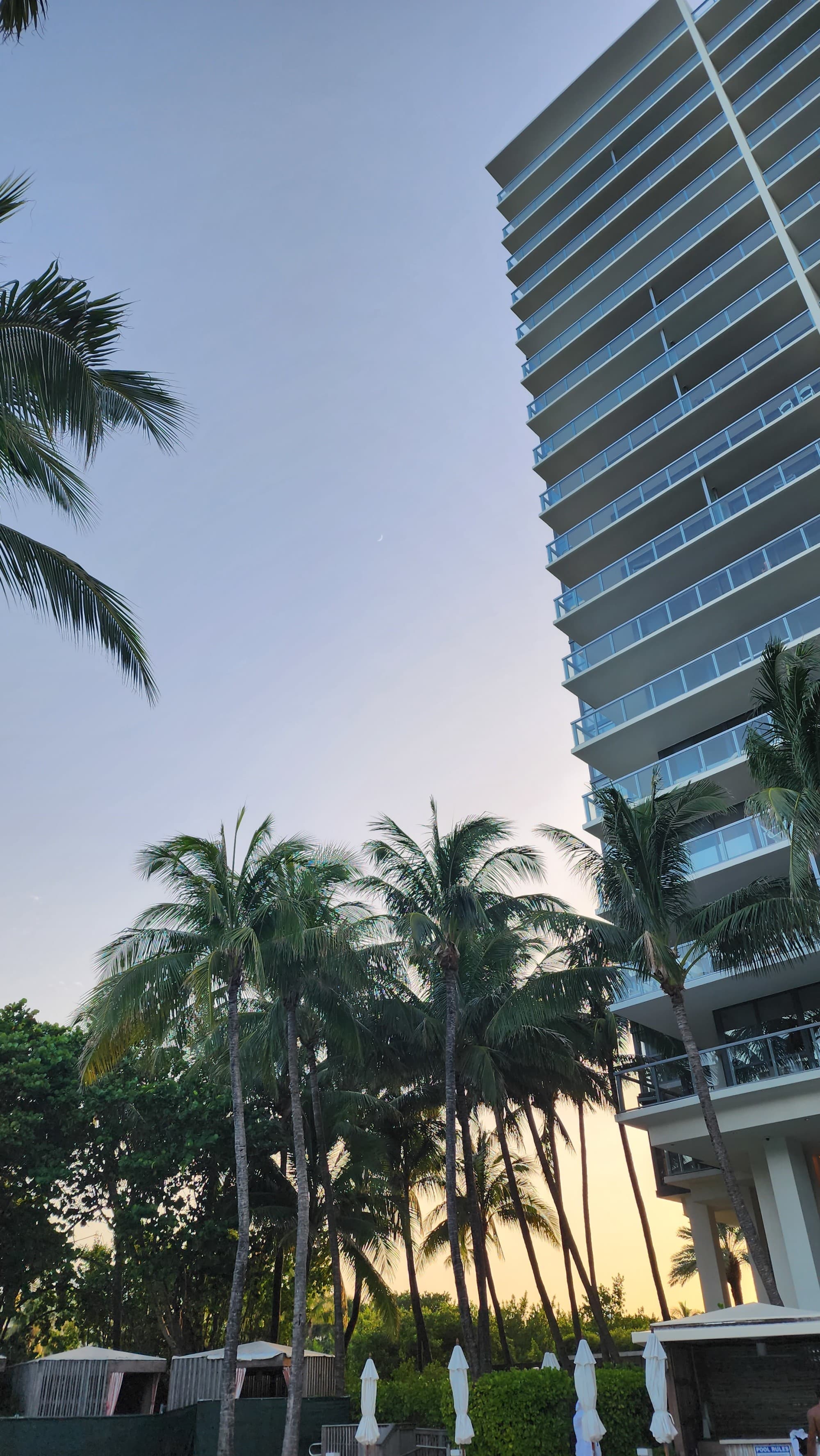 A low-angled view of the hotel tower of the W South Beach with palm trees at sunset