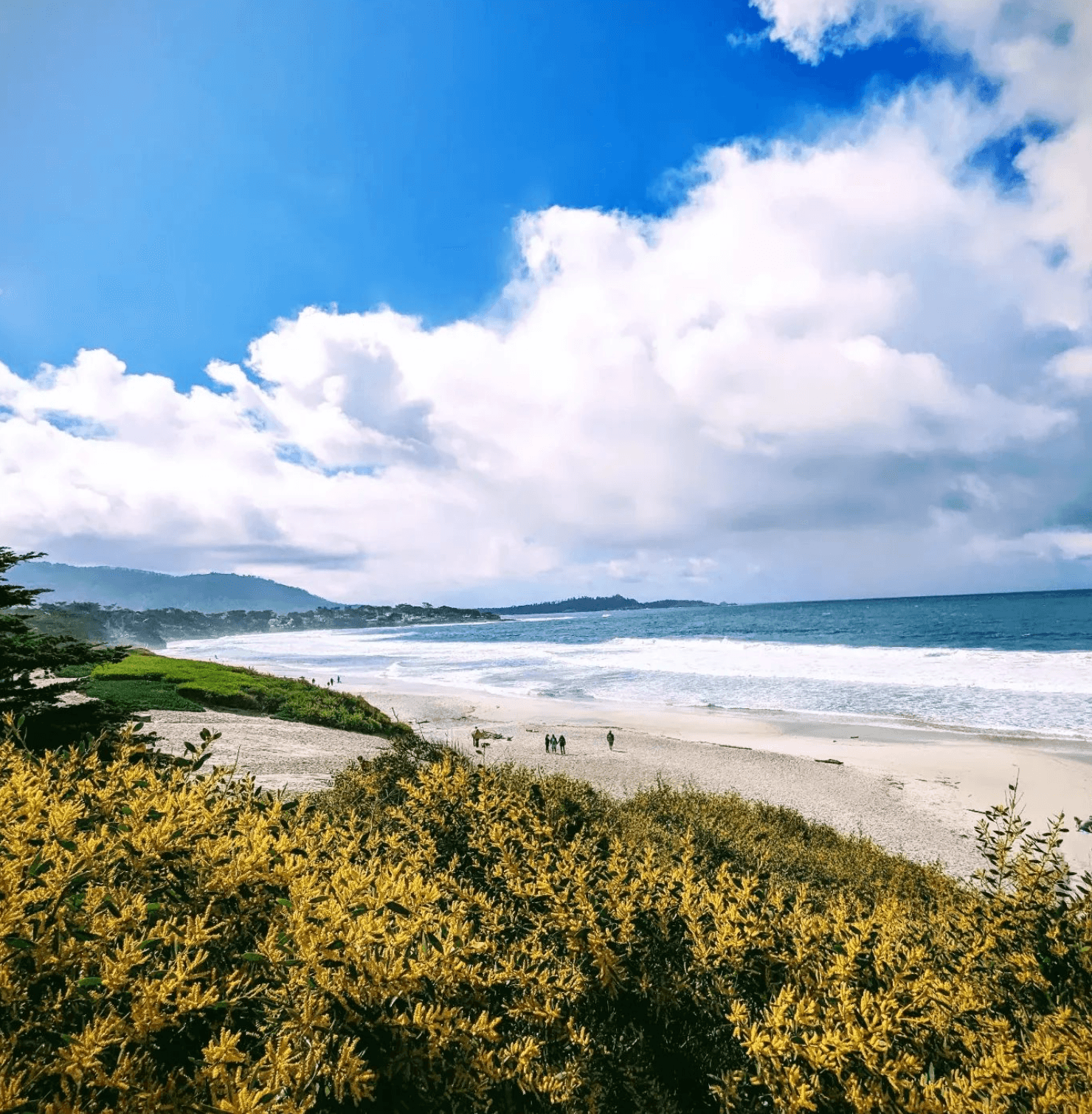 Sea and sea side view during the daytime
