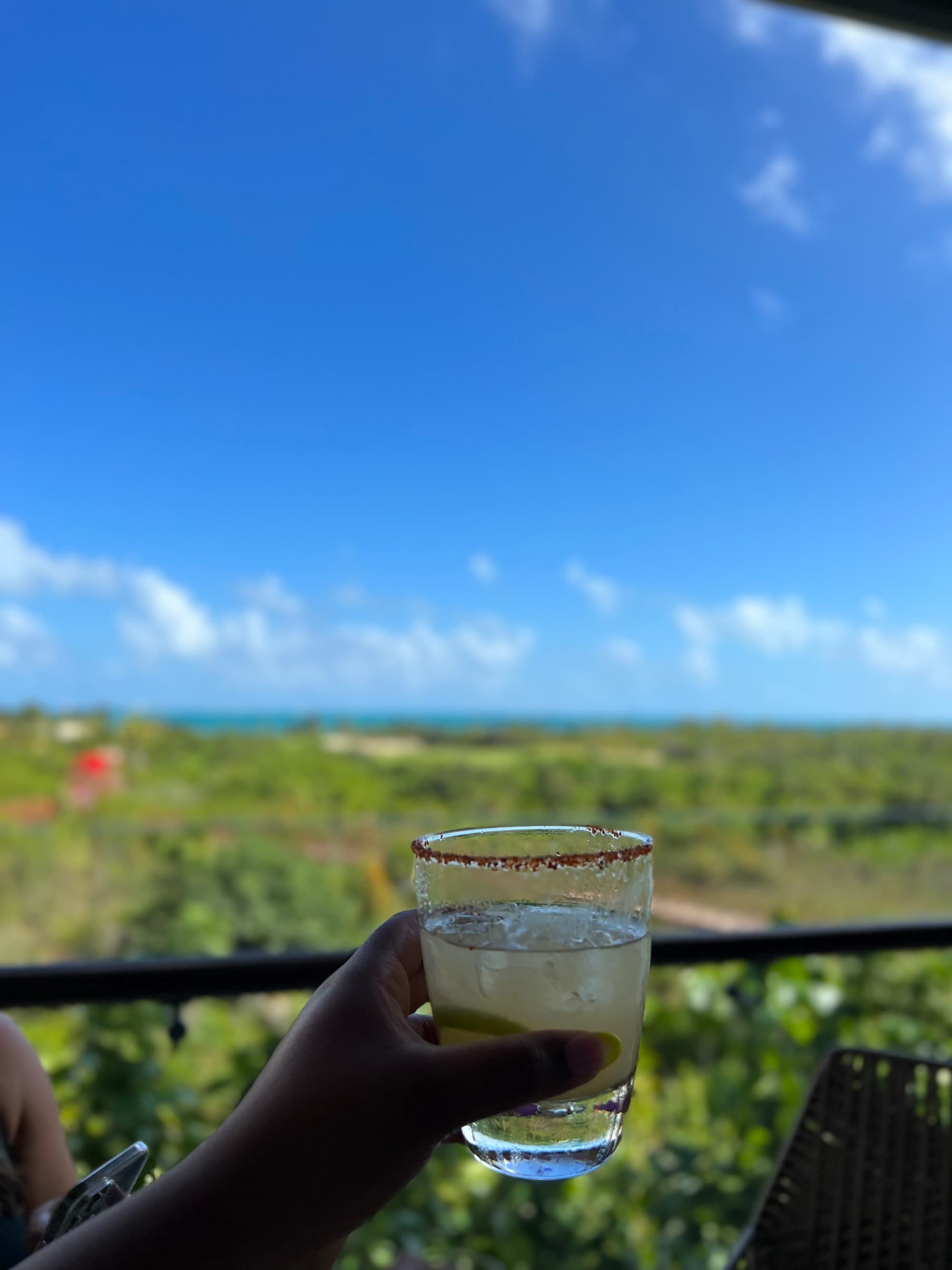 A person holding up a cocktail against a green landscape background