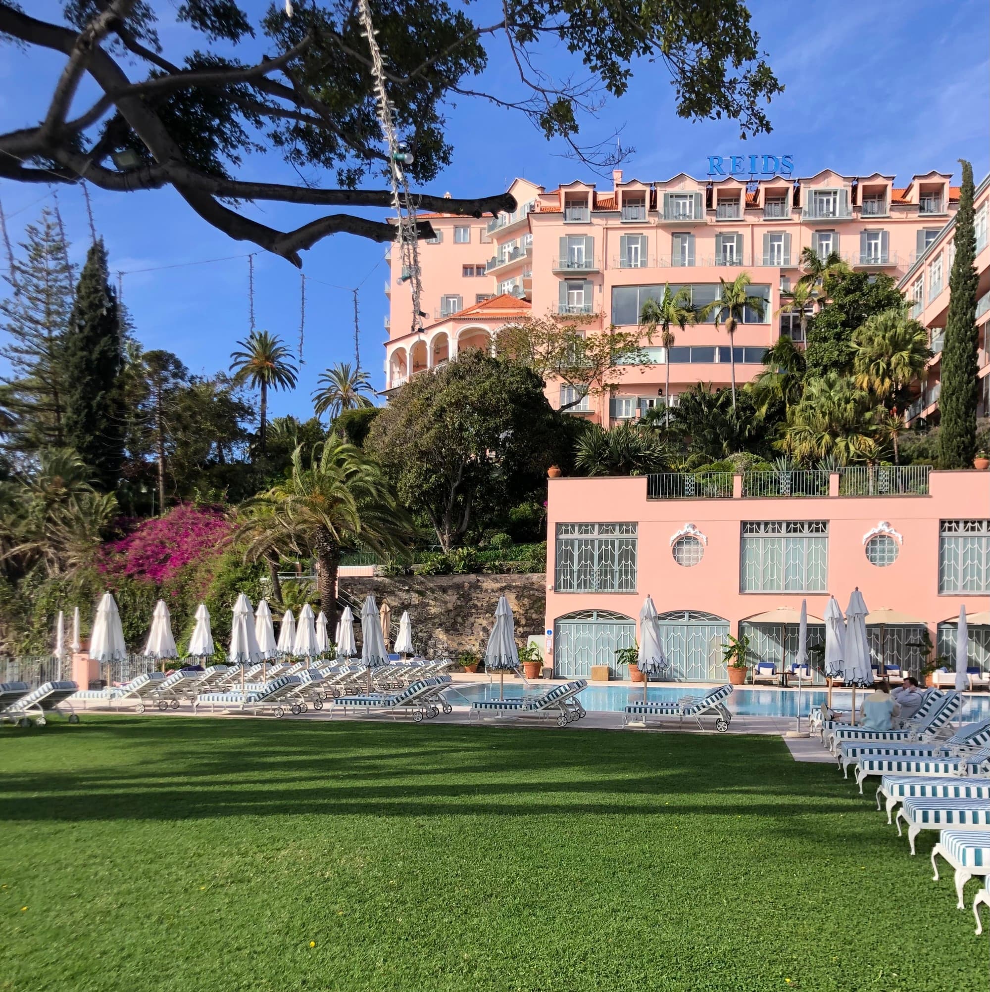 Reids hotel with a beautiful view of the grounds and surrounding foliage
