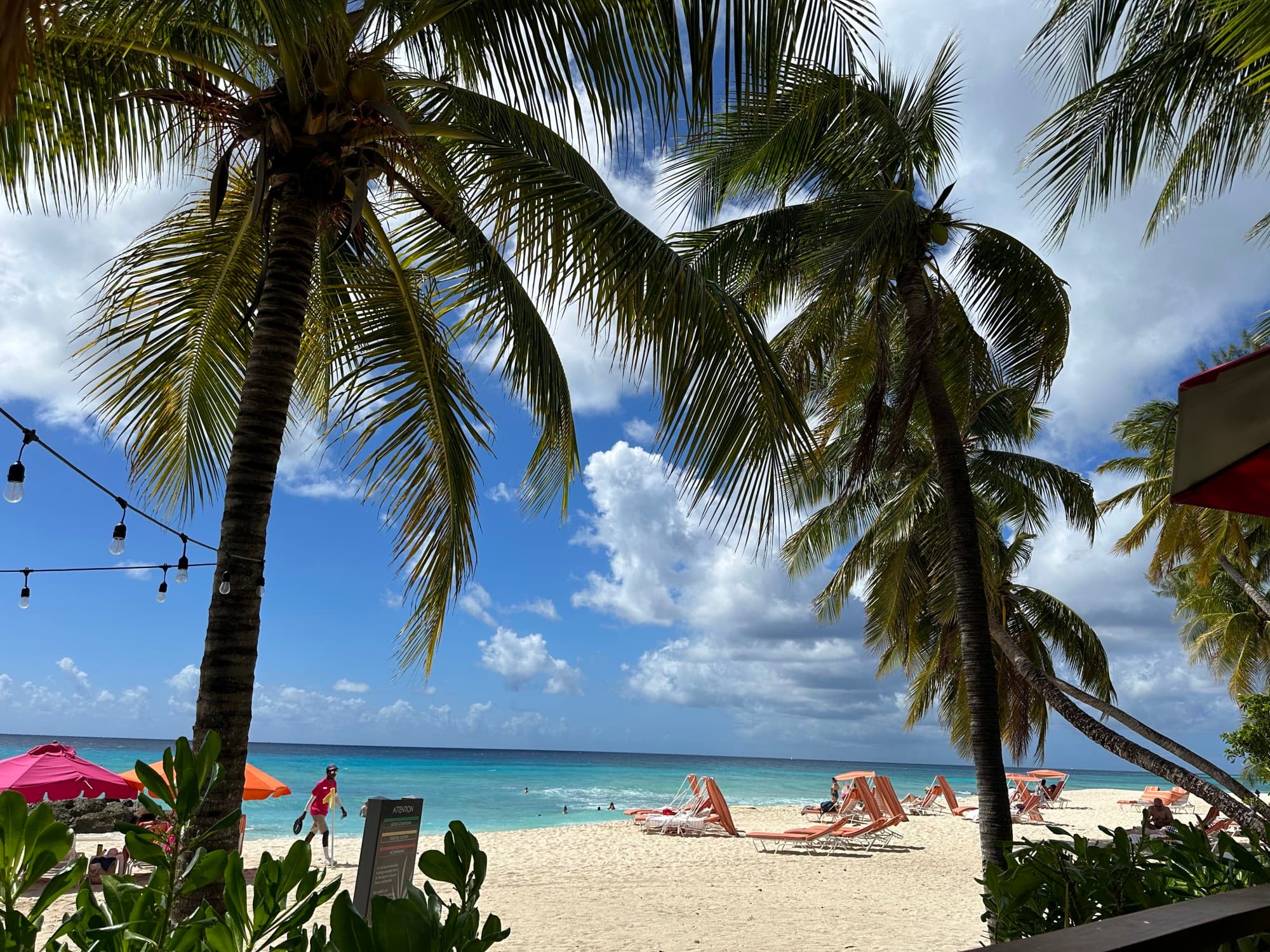 A view of palm trees, a sandy beach and people lounging under the sun. The light blue ocean is to the left, near pink umbrellas and string lights.